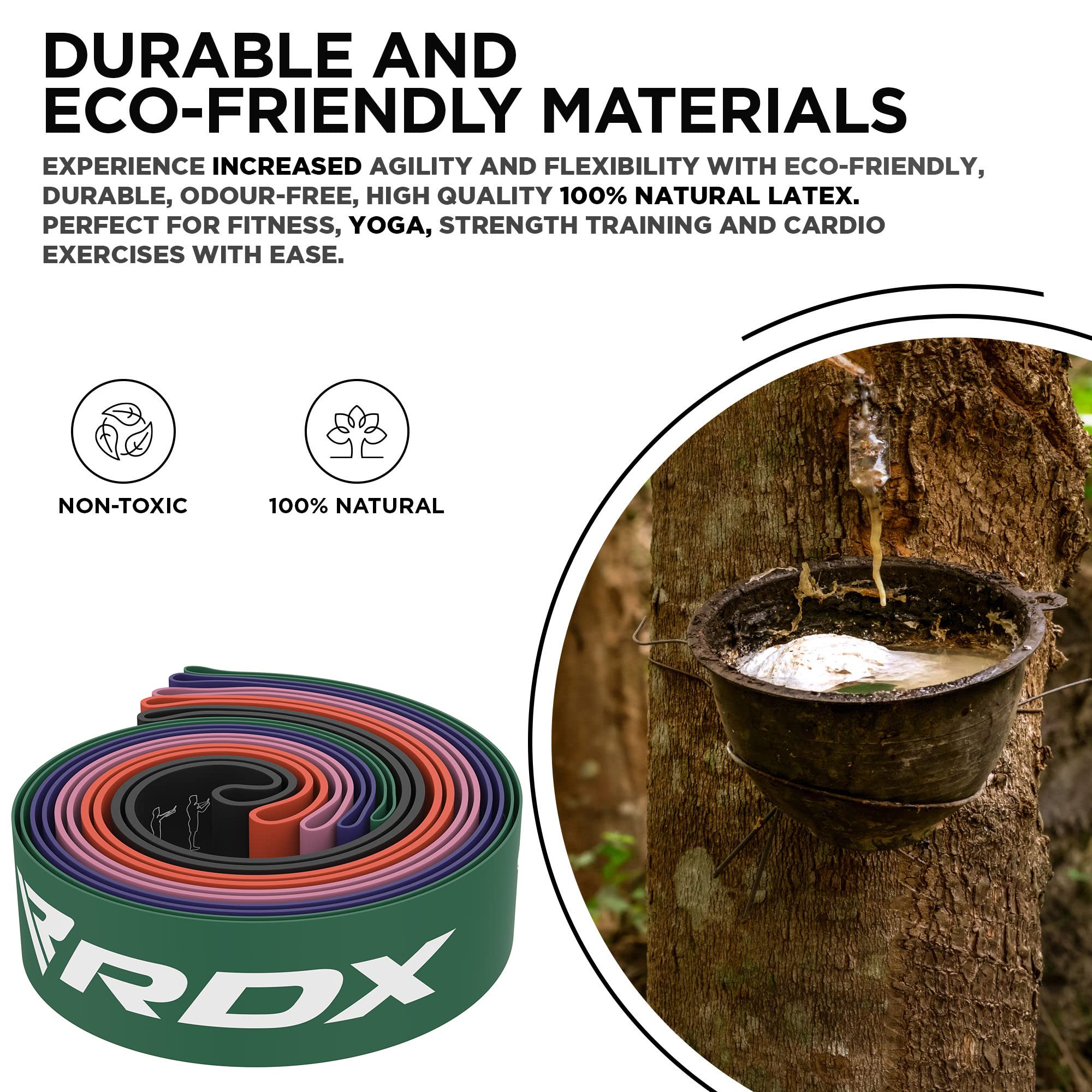 Champion Sports Resistance Bands for Men and Women, Medium Resistance (10-45lbs), Green - Durable Fitness Band for Strength Training, Stretching, Rehabilitation - Premium Home Workout Equipment