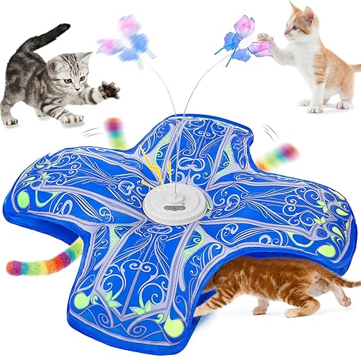 Cat Toys
