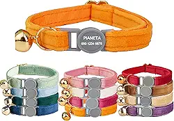 Coleira personalizada para gatos com fivela de segurança - nome e número de telefone gravados, coleira personalizada para animais de estimação com sino para cães pequenos e filhotes (laranja, G (20 a