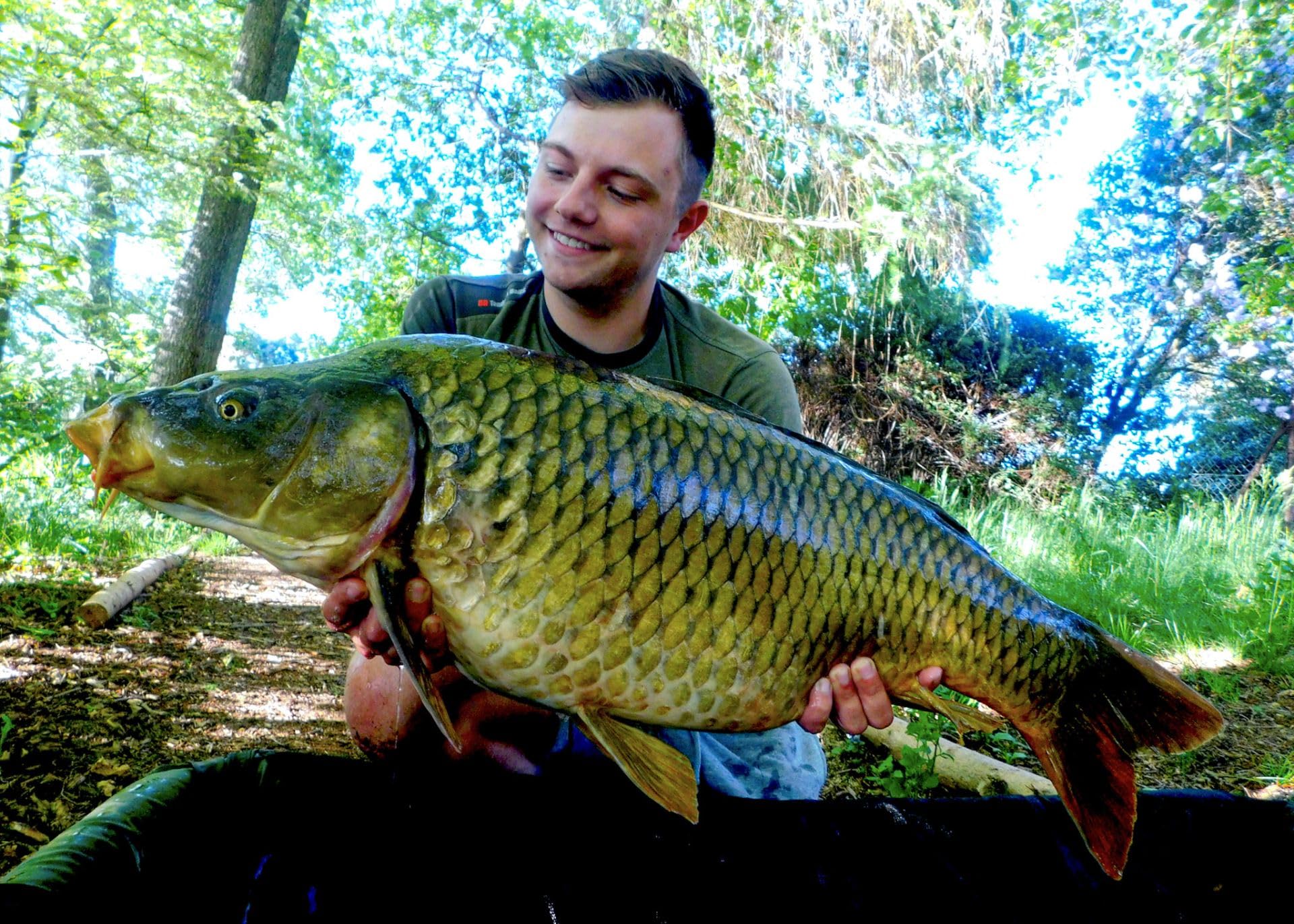 Tandem Baits Sacchetti PVA Per Boilies 100x50 Mm (3x20 Pezzi) - Tubi Solubili In Acqua Super Resistenti Per Esche, Accessori Per Pesca Alla Carpa