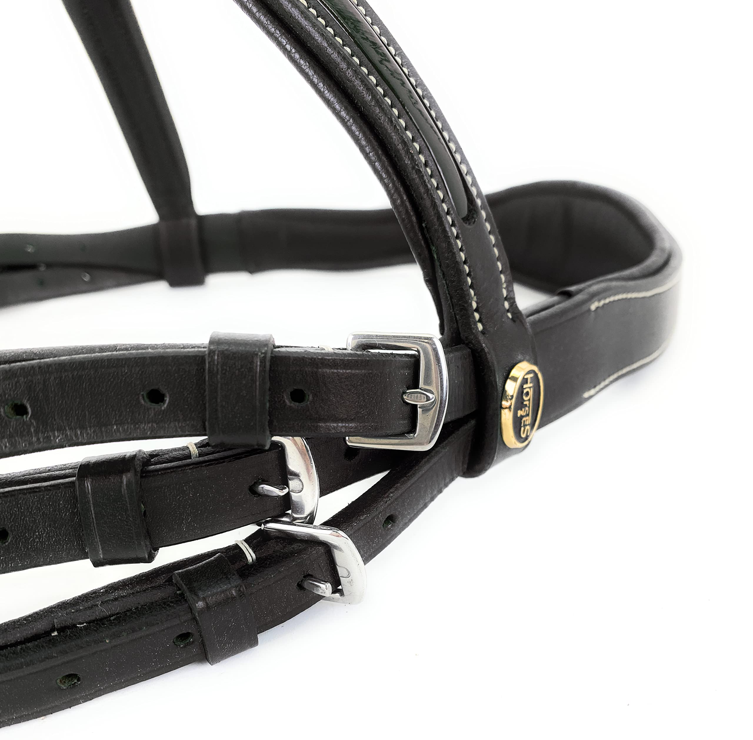 Horses, Briglia per Monta Inglese Modello Gloss Stitching, in Morbido Cuoio Alta qualità, con Frontalino, Nasiera e Sopratesta Imbottiti