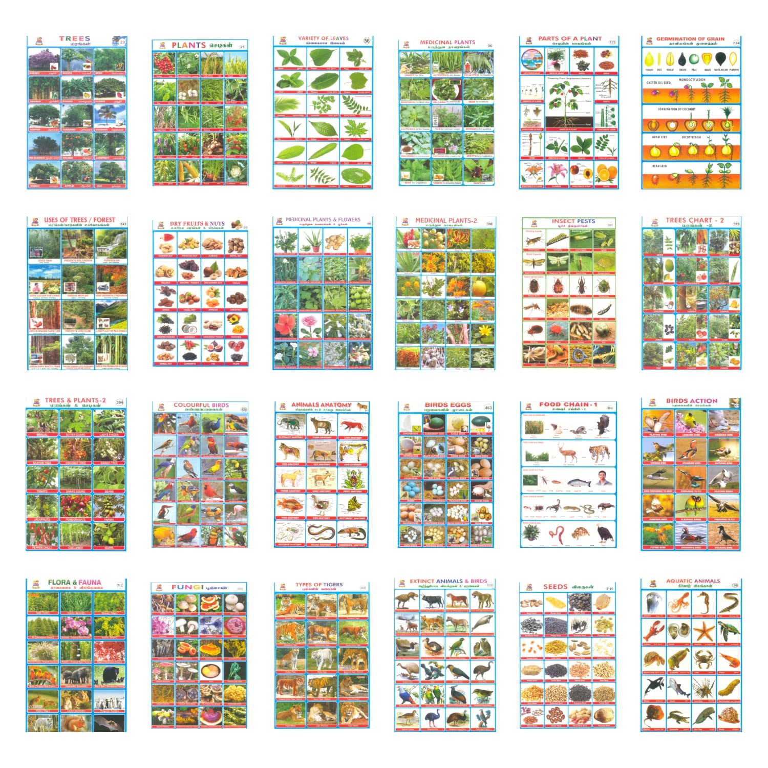 WHITETOWN Combo Sticker for Kids Project – Animal, Bird, Tree, Plant, Dry Fruit & Nut, Leaves, Food Chain, Flora & Fauna, Seeds | School Project | Adhesive Sticker (24 Pcs) (B0BQFR3BW7) Amazon Price History, Amazon Price Tracker