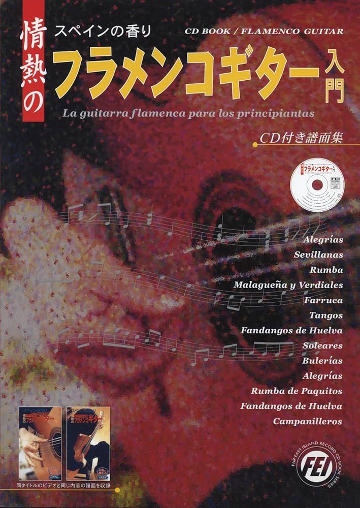 値下げ！情熱のフラメンコ・ギター 基礎講座 カルロス・パルド ファッションCD・DVD・ブルーレイ - 値下げ！情熱のフラメンコ