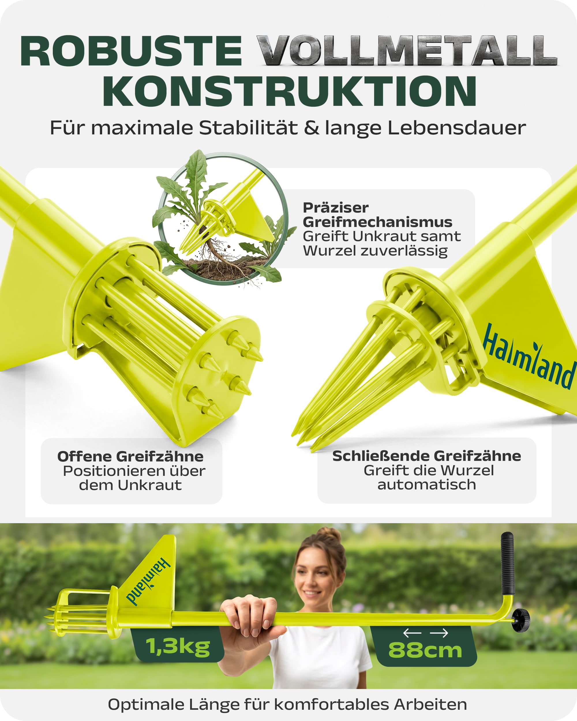 halmland® Désherbeur professionnel avec 6 griffes pour un retrait facile des mauvaises herbes - Appareil d'élimination des mauvaises herbes avec long manche - Pince à dents de pissenlit - Outil de