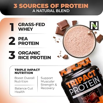 Nutrology TRIPACT Protein Powder, 7-in-1 Meal Replacement Shake, Creamy Chocolate (40 Servings) Greens & Fruits Powder-Naturally Sourced Superfood, Vanilla Cinnamon (30 Servings)
