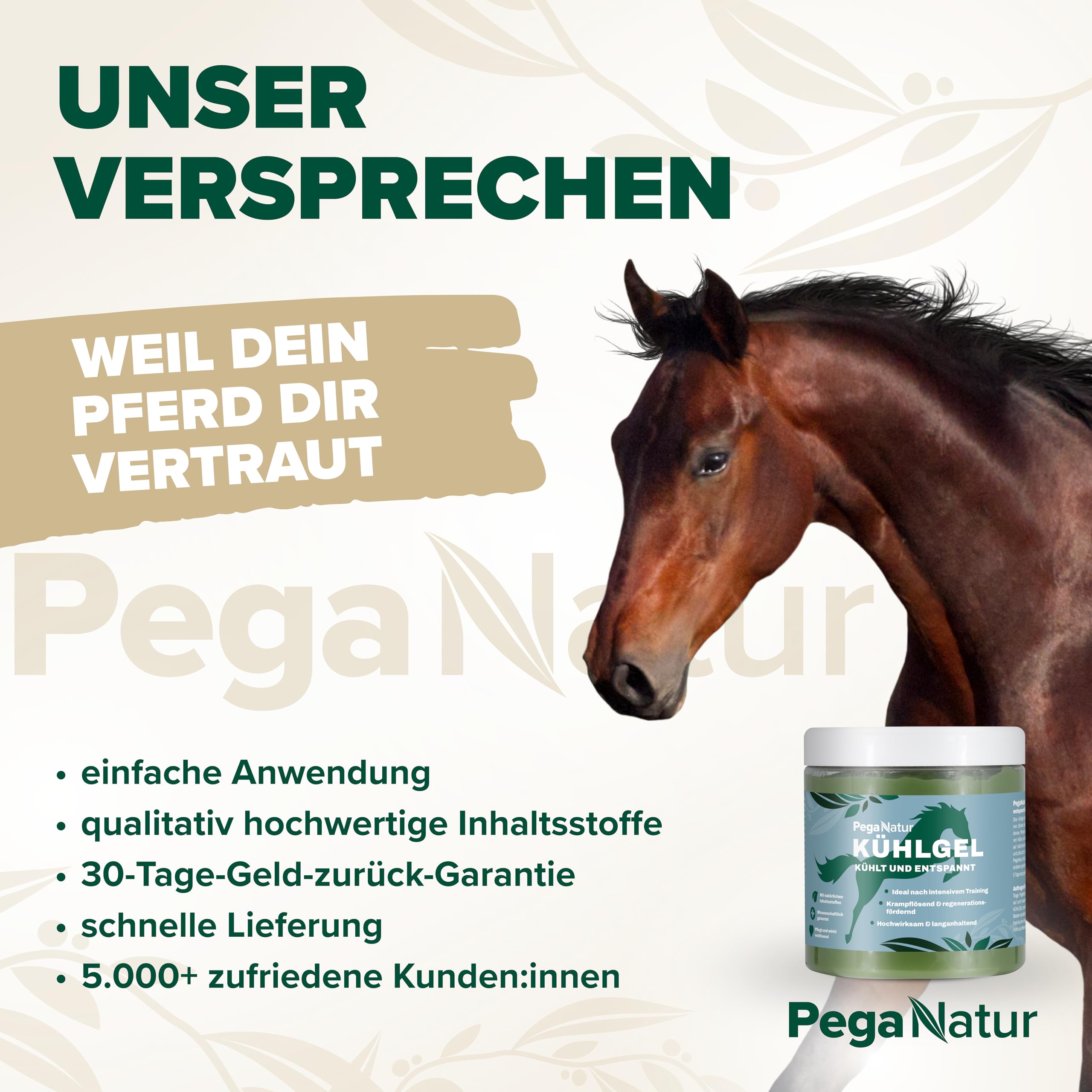 Kühlgel 500ml Pferdebalsam wärmend und kühlend [extrastark] Pferdebalsam kühlend mit Arnika und Kampferöl bei Gelenkschmerzen Pferde Muskelentspannung Horse Pferd Entspannung Pferdesalbe