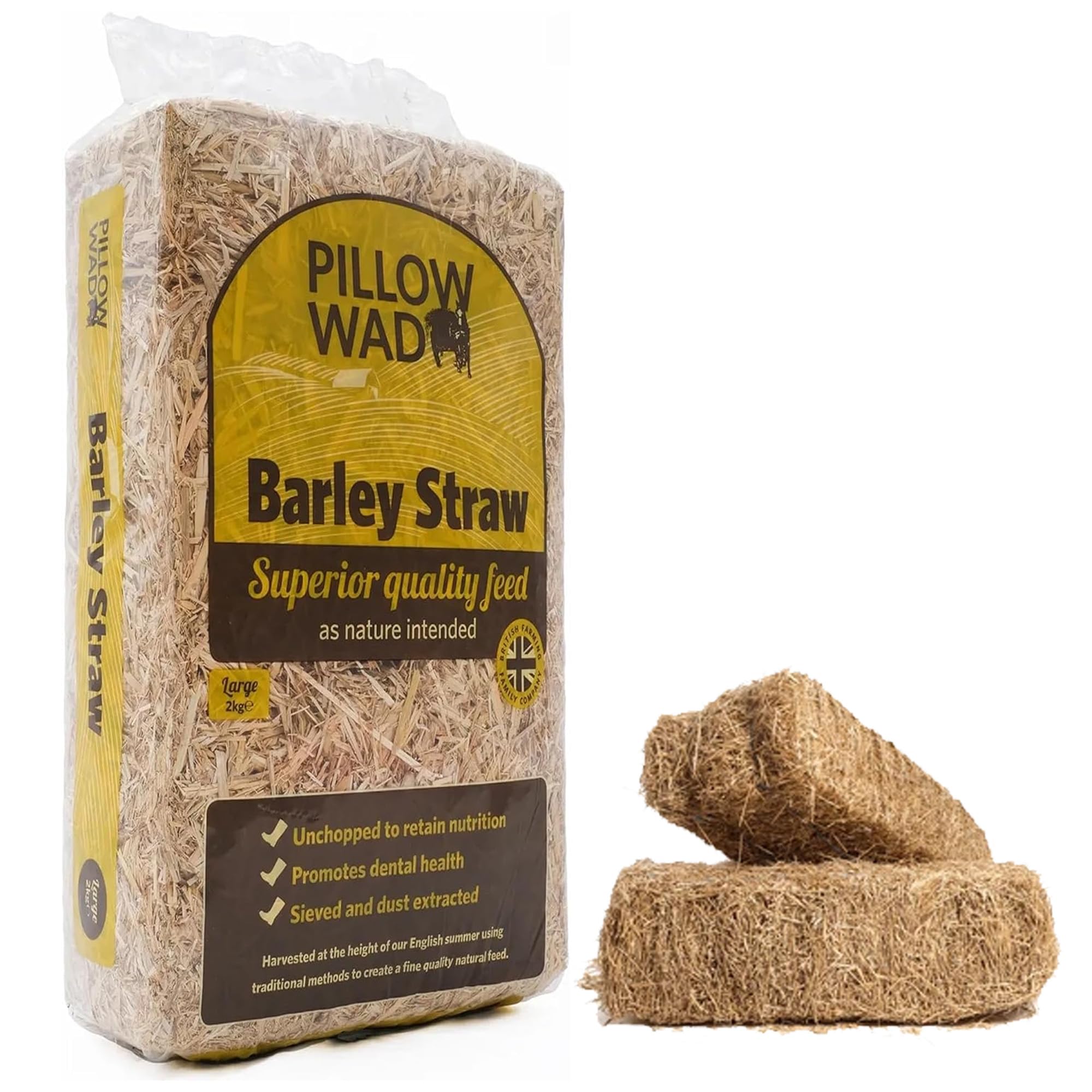 View 3