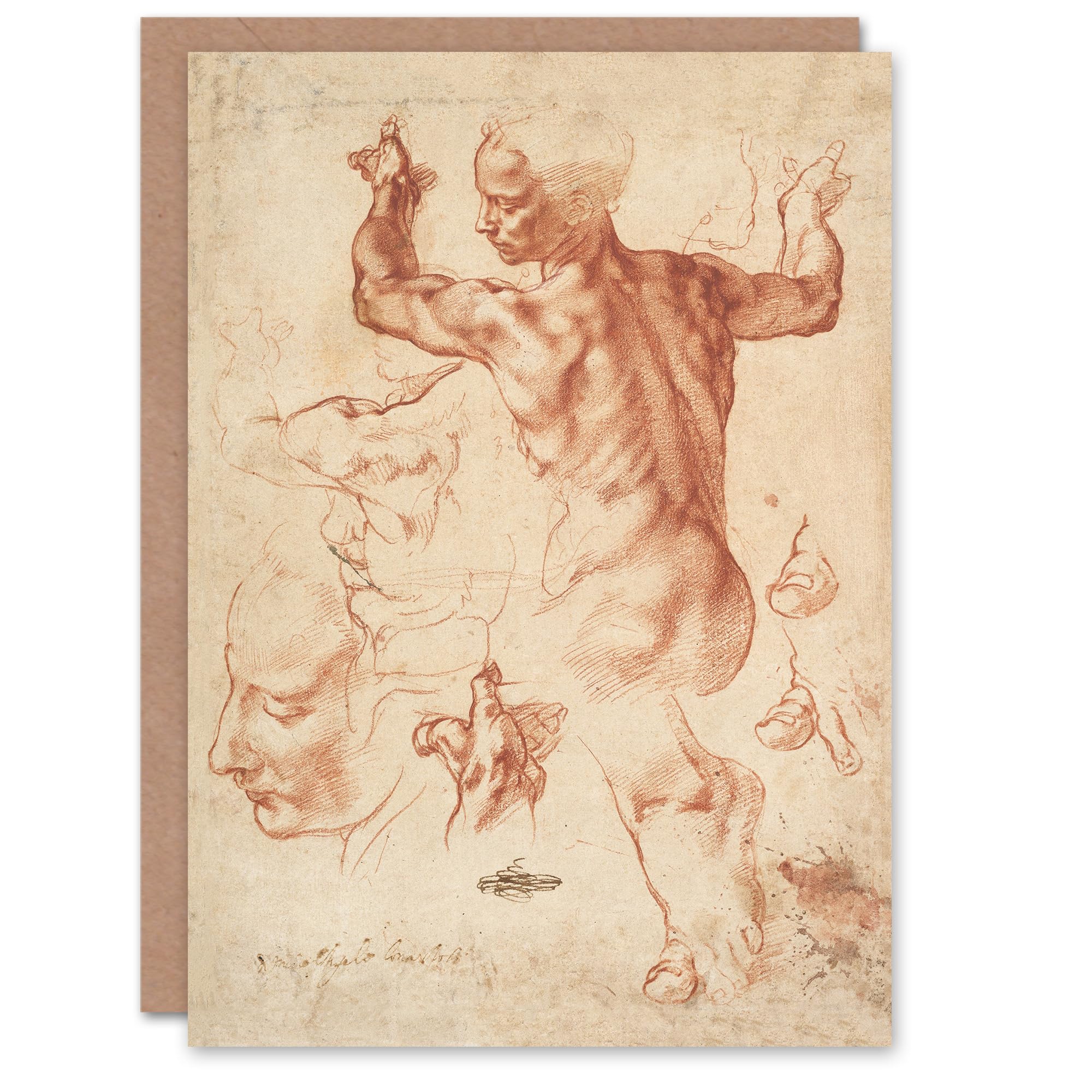 Artery8 Michelangelo Buonarroti Art Card Studies for the Libyan Sibyl