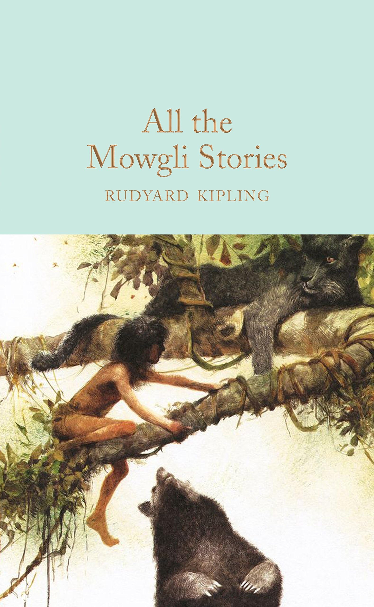All the Mowgli Stories Hardcover โ May 16, 2017