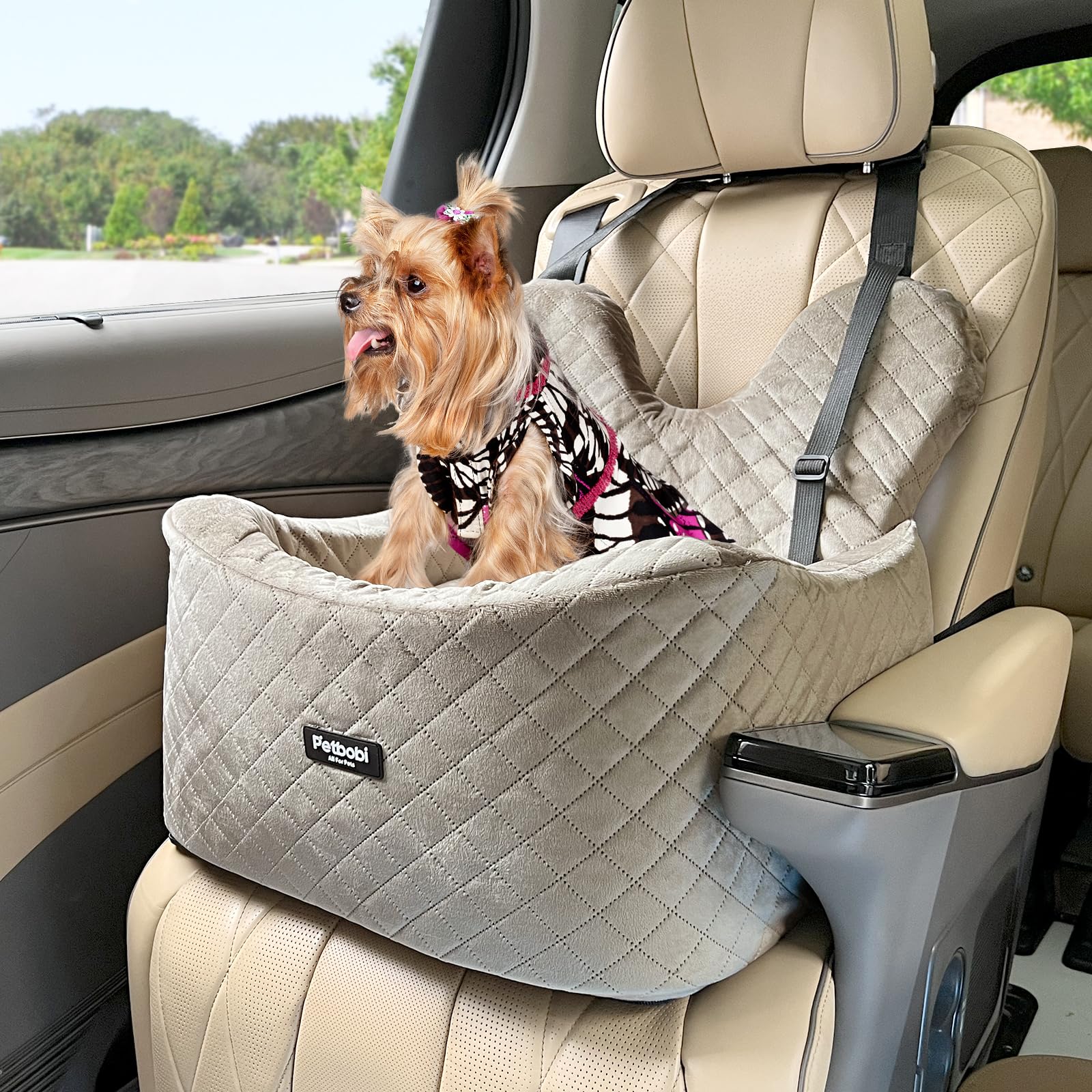 Assento De Carro Elevado Para Cães Pequenos - Segurança E Conforto
