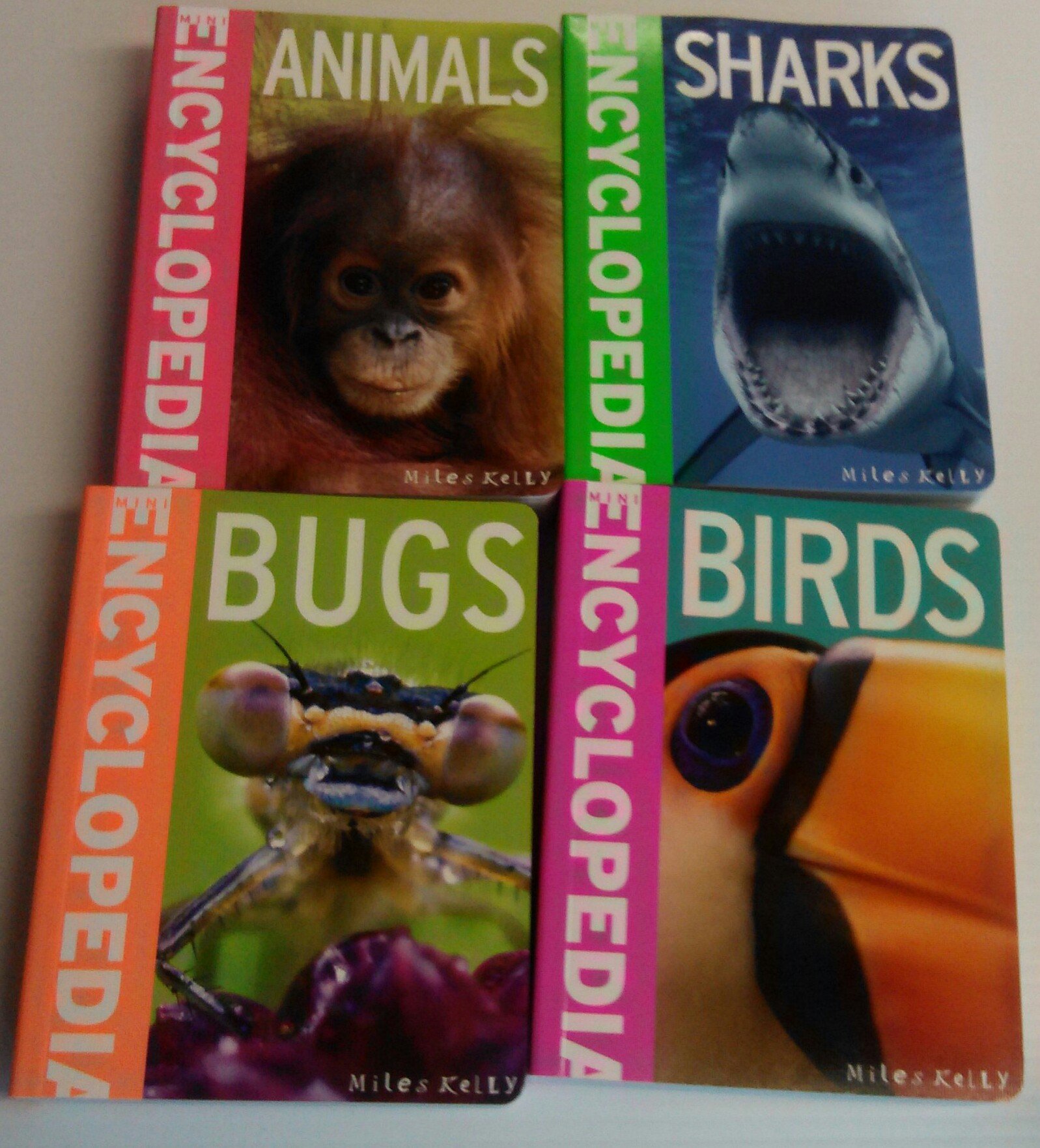 Mini Encyclodedia - 4 Subjects Animals Set: 4 Mini Encyclopdias Crammed With Inormation: Animals, Birds, Bugs, Sharks