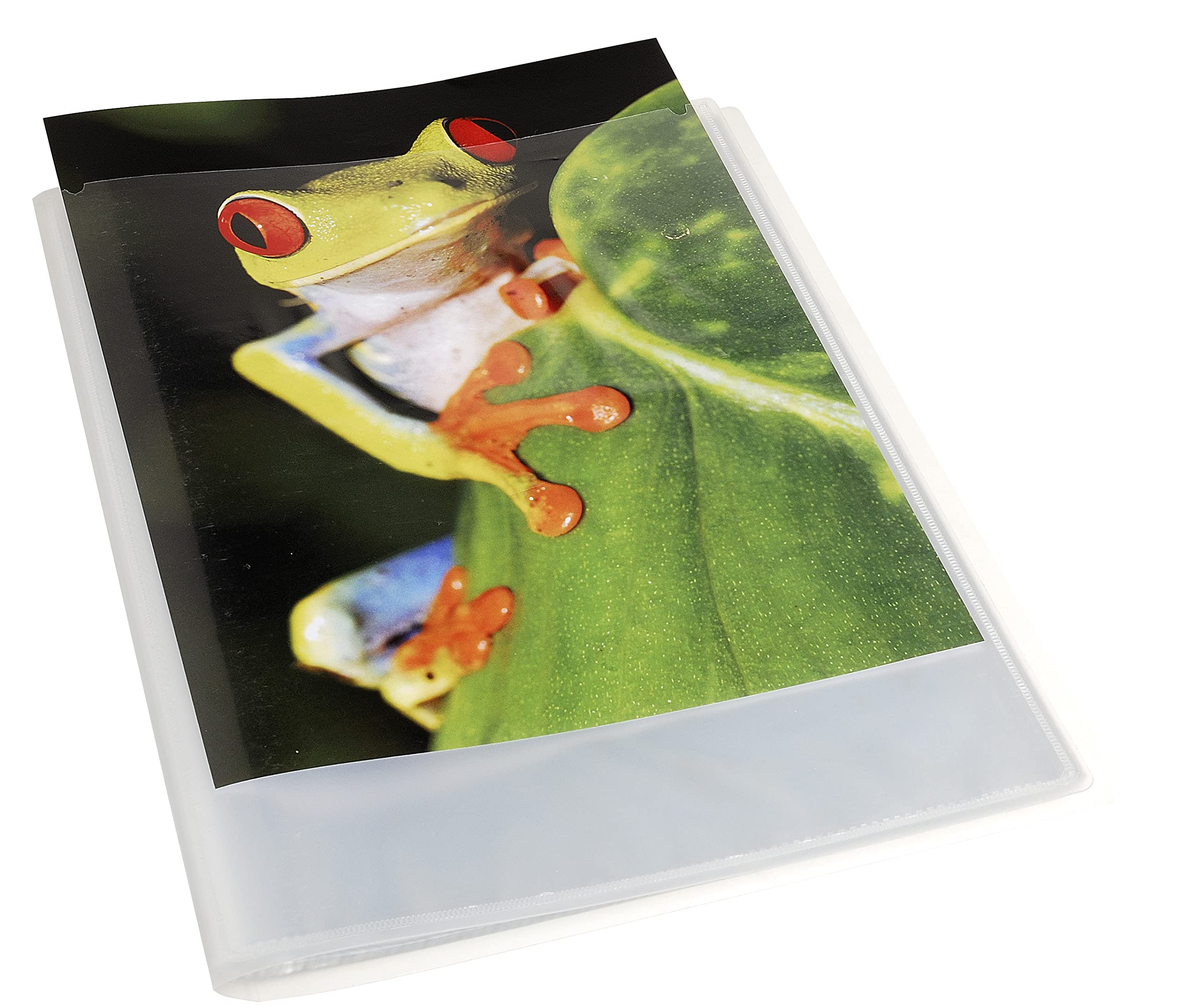 Exacompta 5788E Album ofertowy Kreacover Chromaline - 80 gładkich koszulek - 160 widoków - do A4 - 24x32cm - okładka z polipropylenu - bezbarwna