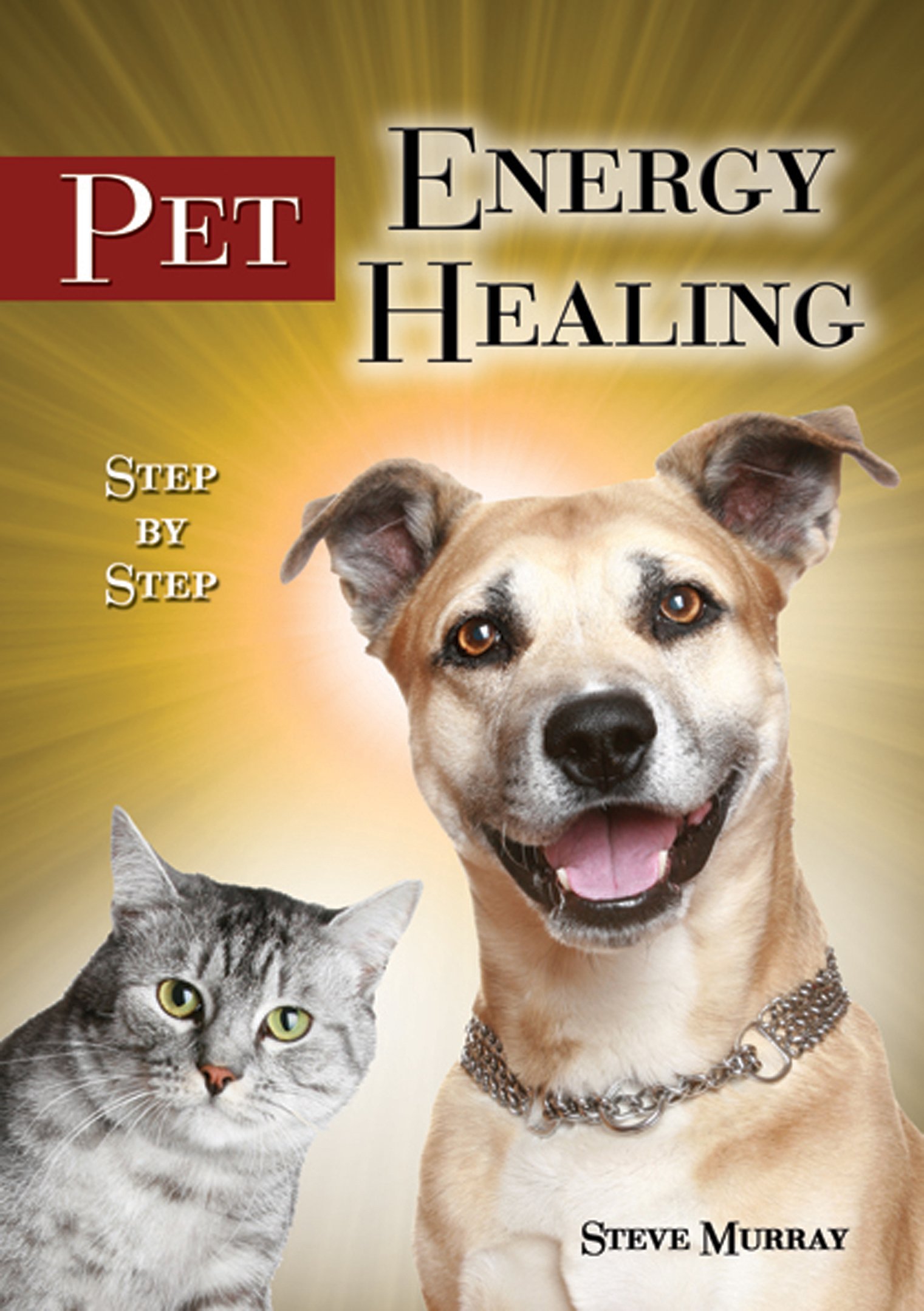 Energy Pet Healing Step By Step