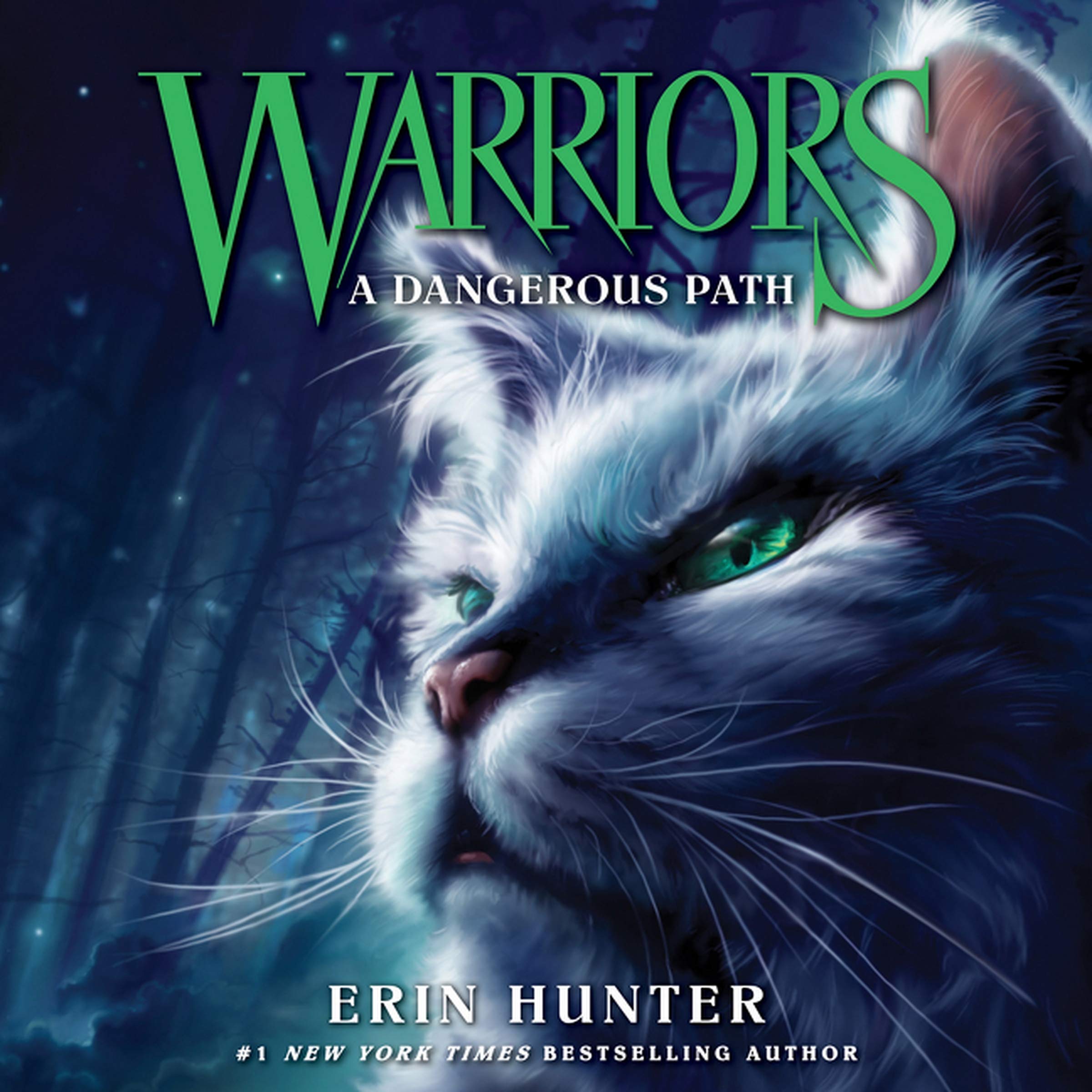 Warriors #5: A Dangerous Path (Warriors: The Prophecies Begin, Book 5)