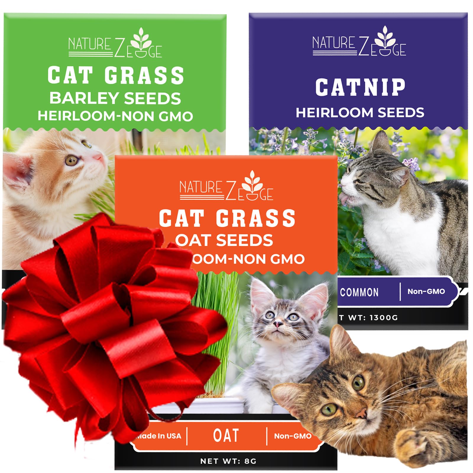 Curated visual reference: Gallery Detail: Amazon Com Cat Grass Cat Grass For Indoor Cats Cat