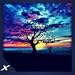Animated Sun Rise Ambience - A Beautiful Morning Scene