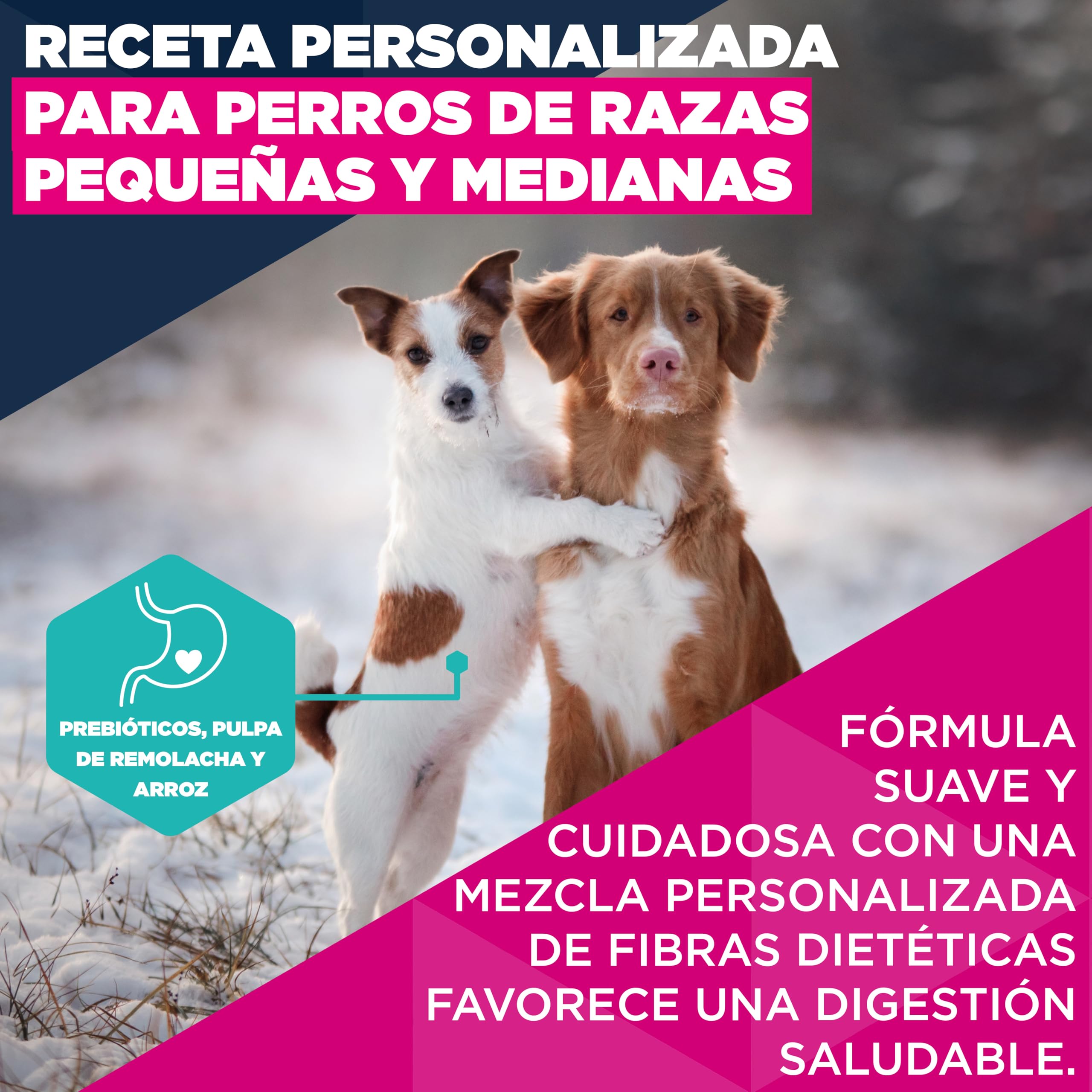 Eukanuba, alimento seco para Perros con Cordero y arroz para Razas pequeñas y Medianas - Alimento seco Premium para Perros Adultos, 12 kg | Alimento seco de primera calidad, para perros adultos, ingredientes fácilmente digeribles