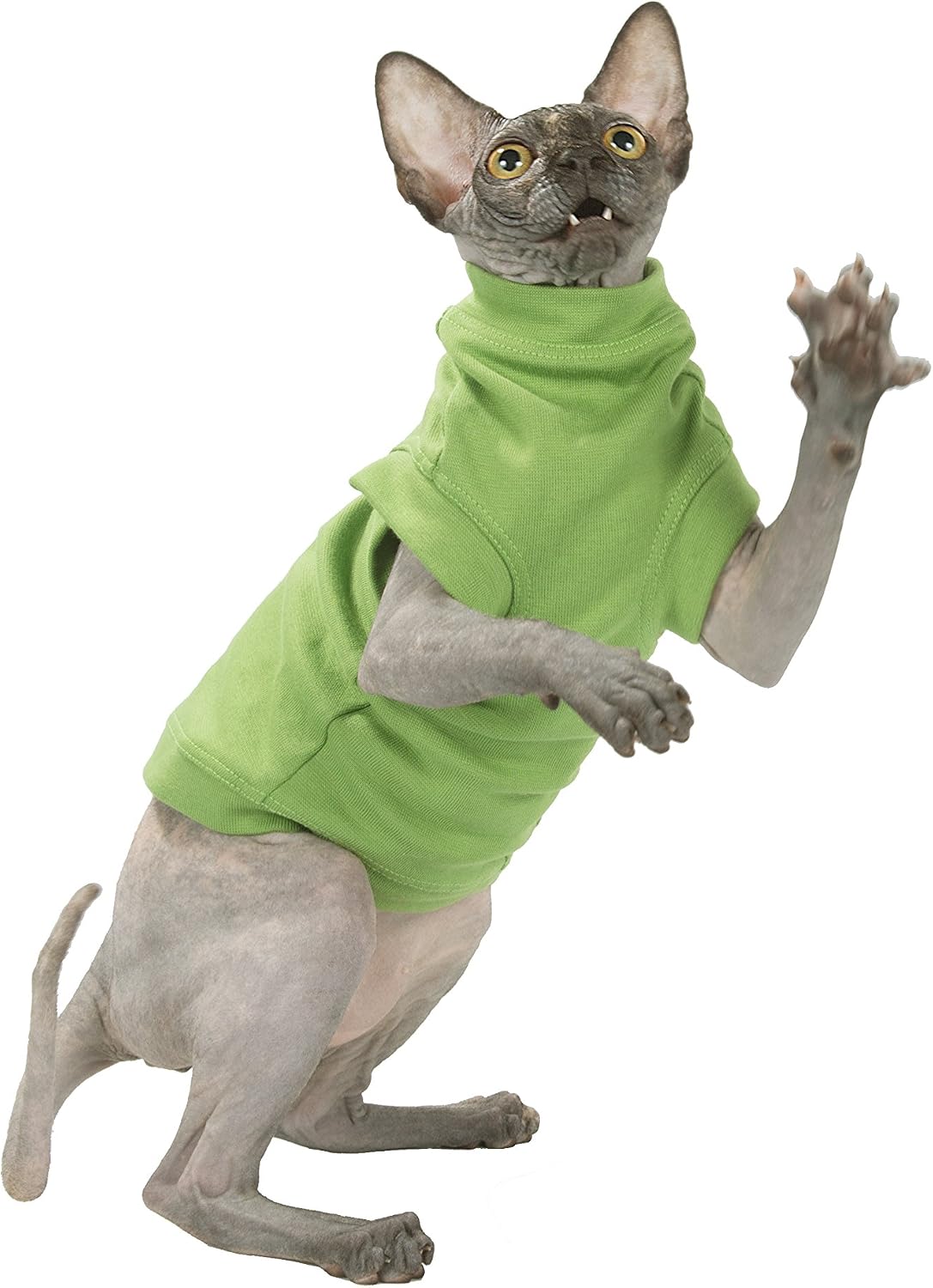 Cat's Turtleneck-Maxi Salad (S)