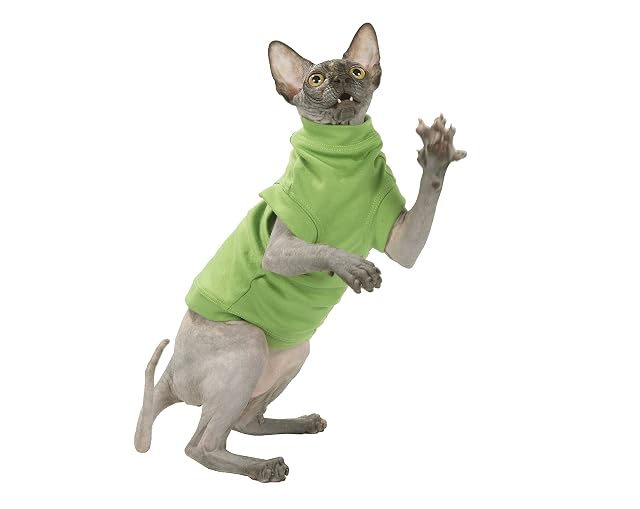 Foto 4 de 6 de Kotomoda Cat'S Turtleneck-Maxi Salad (L)