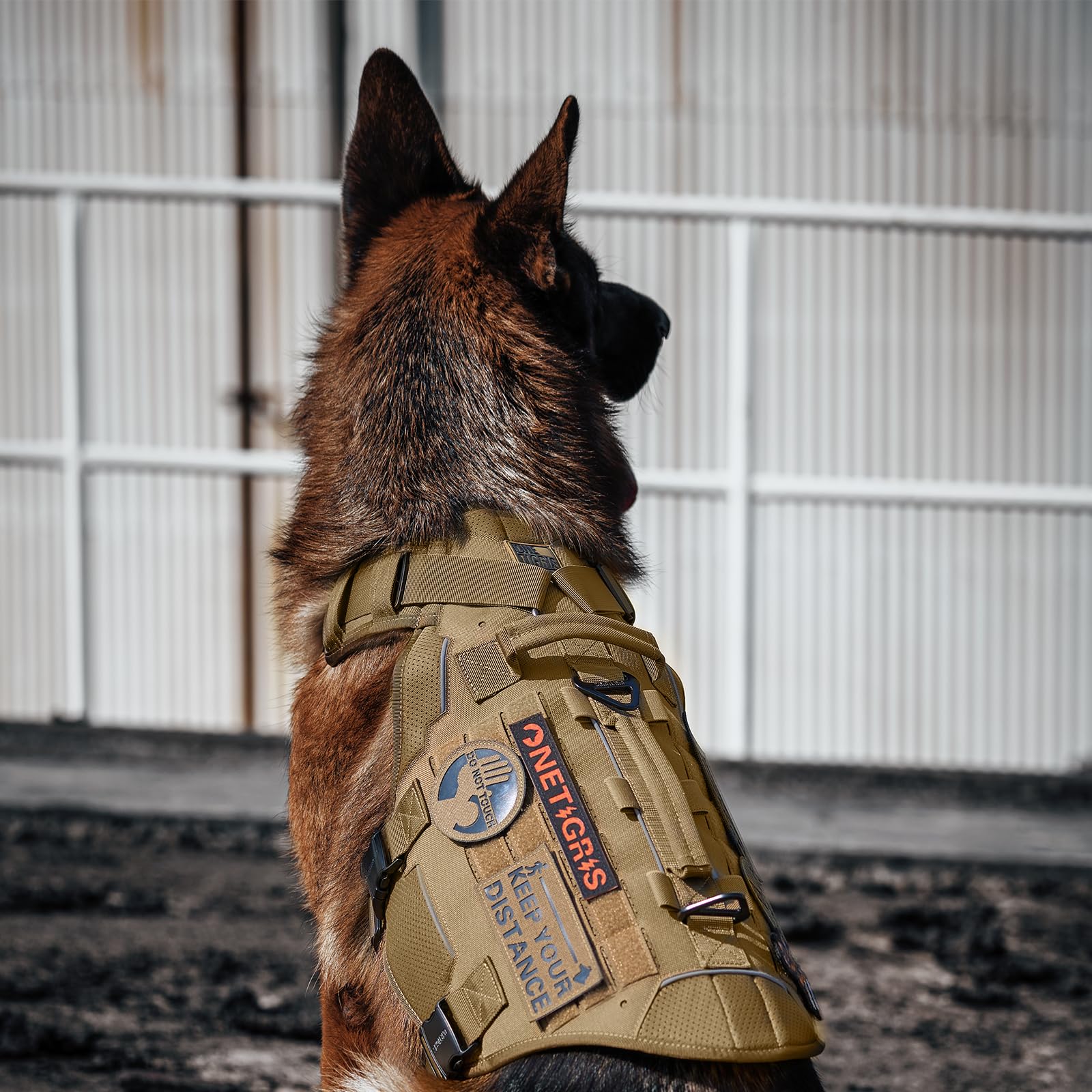 OneTigris Imbracatura tattica per cani, siluro con 4 fibbie in metallo, 3 anelli a D in metallo, 2 manici e strisce riflettenti No-Pull, imbracatura di sicurezza regolabile per cani di taglia