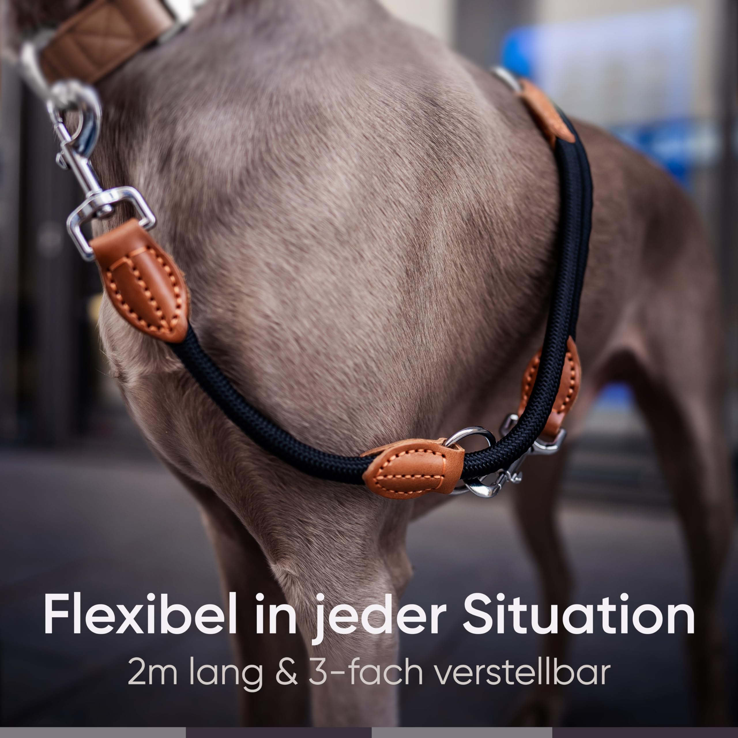 Robuste Hundeleine Aus Metallkette – 1,2 M, Mit Gepolstertem Griff, Für Große & Mittlere Hunde, Kau- & Beißfest