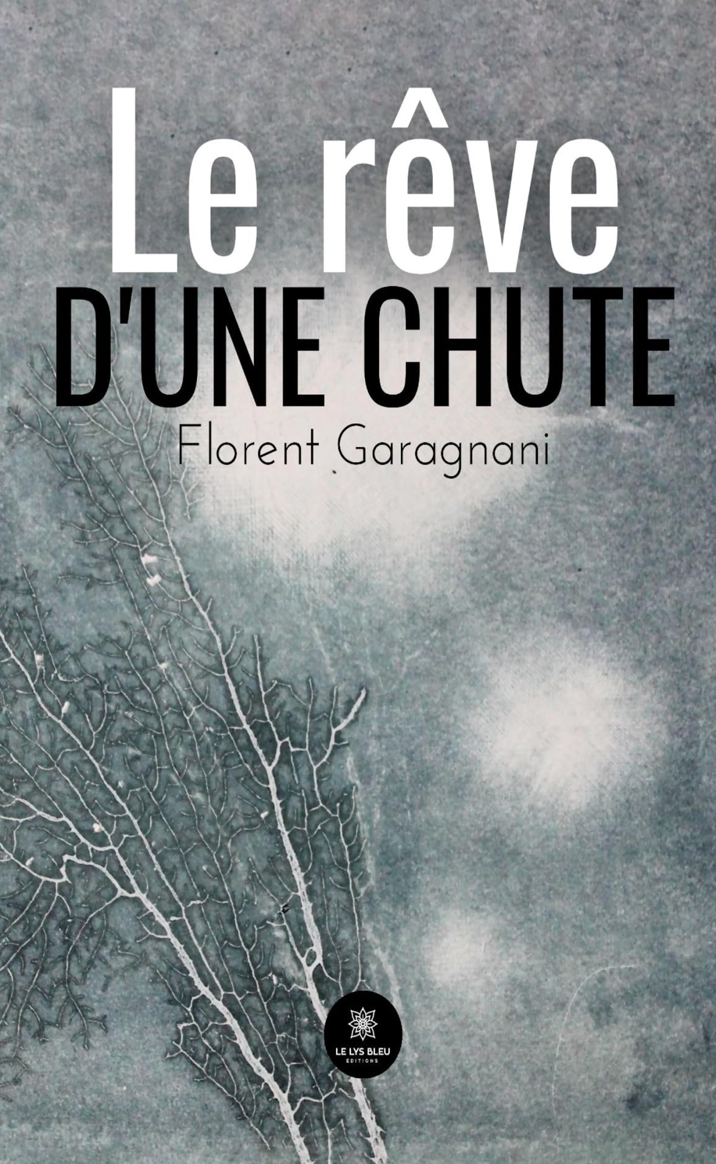 Le rêve d’une chute
