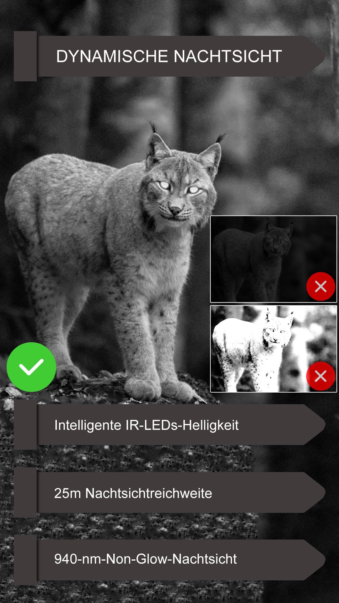 GardePro E6P Wildkamera WLAN, Wiederaufladbare 8000mAh Akku, 64MP 1296P, Wildtierkamera mit bewegungsmelder nachtsicht, Handyübertragung