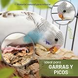 Ver la foto 4