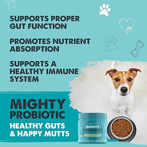 Miniatura 2 de Mighty Paw Waggables - Probióticos masticables para perros (hechos en Estados Unidos) Probióticos para perros y enzimas digestivas. Probiótico con