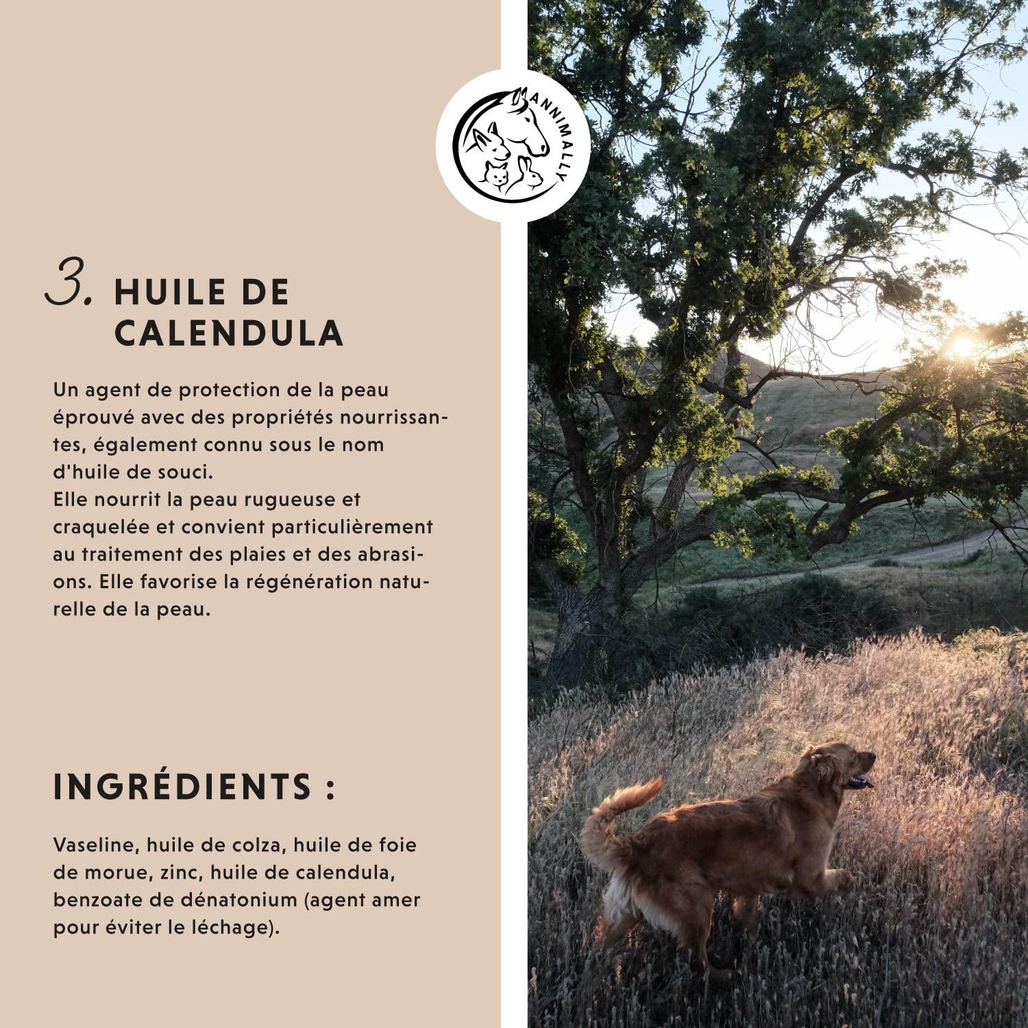 Pommade au Foie de morue et au Zinc pour Chiens 50g - Pommade pour blessures, eczéma et escarres - Baume pour Chiens, Chats, Chevaux et Petits Animaux avec du Zinc, de l'huile de Foie de morue
