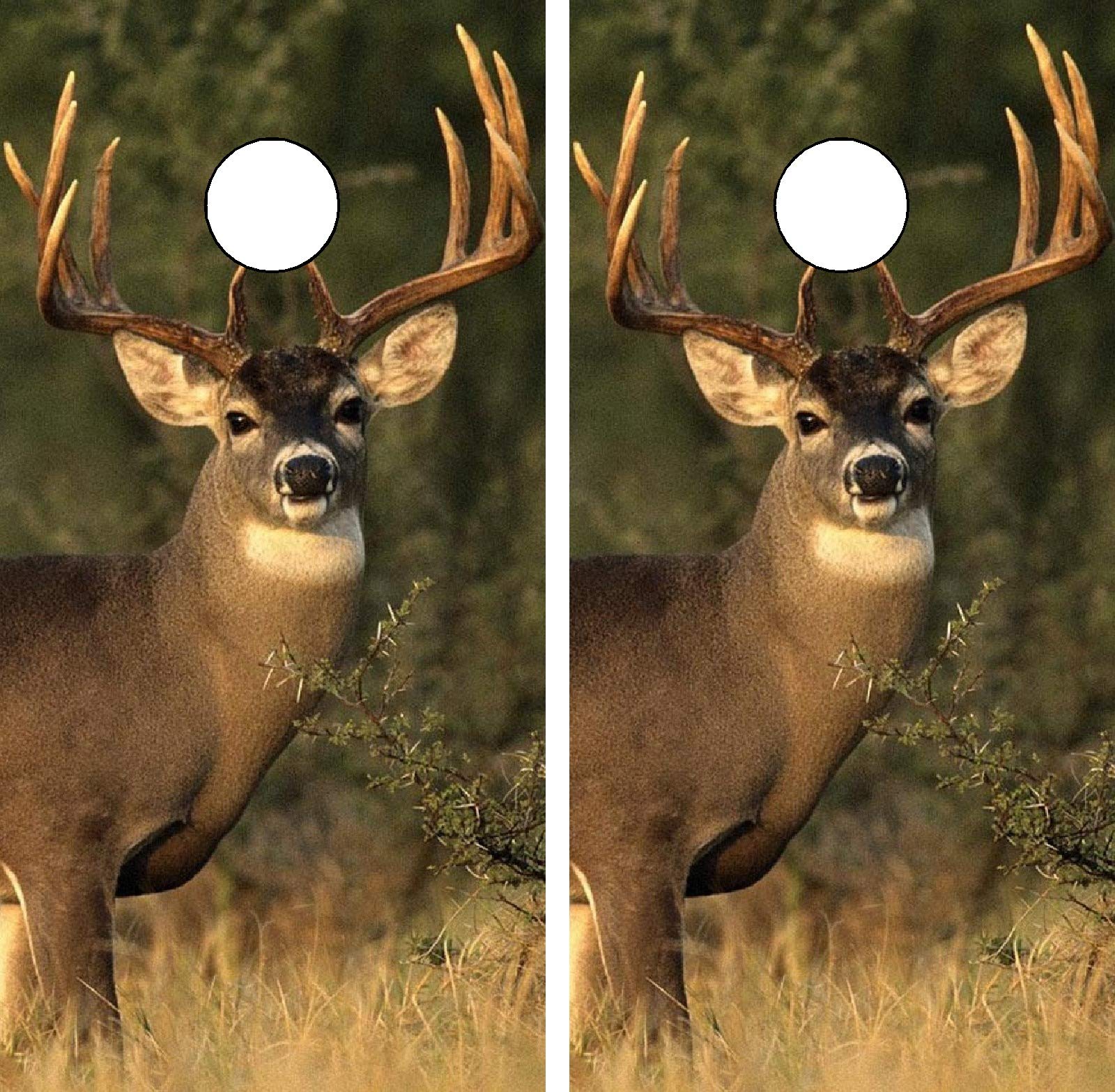 GRAPHIX EXPRESSDeer Board WRAP Deer Wraps Laminated Board Boards Decal Set Decals Vinyl Sticker Stickers Bean Bag Game Vinyl Graphic Tint Image V2 (C112 Deer)