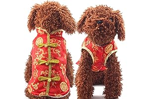 Chinese New Year Dragon Dog Costume