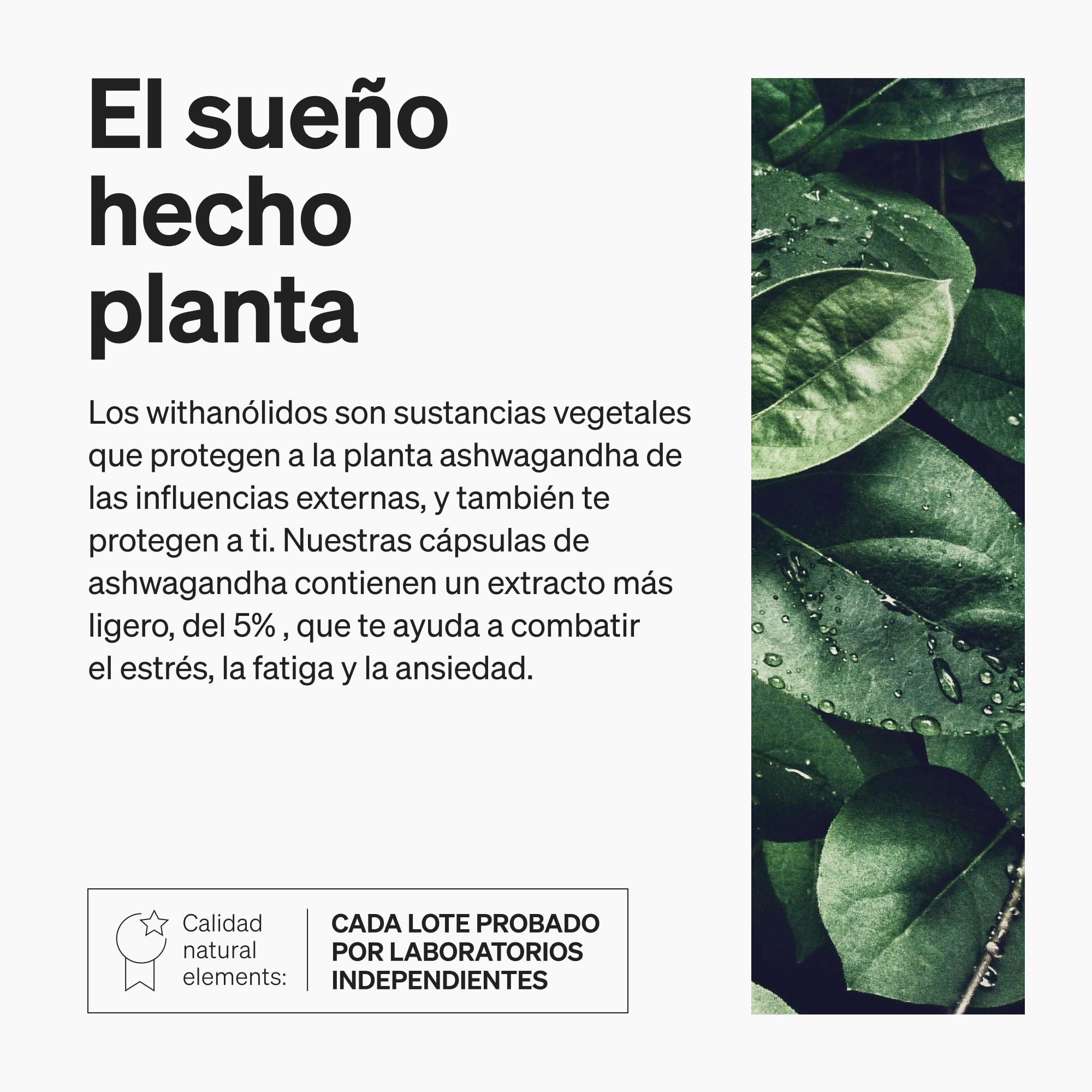 Ashwagandha KSM-66® - 600 mg de extracto de raíz de ashwagandha - Con Hierba luisa, Magnesio, Ácido fólico y Vit. C, B6, B12-120 Cápsulas - Probado en laboratorio, vegana y sin aditivos
