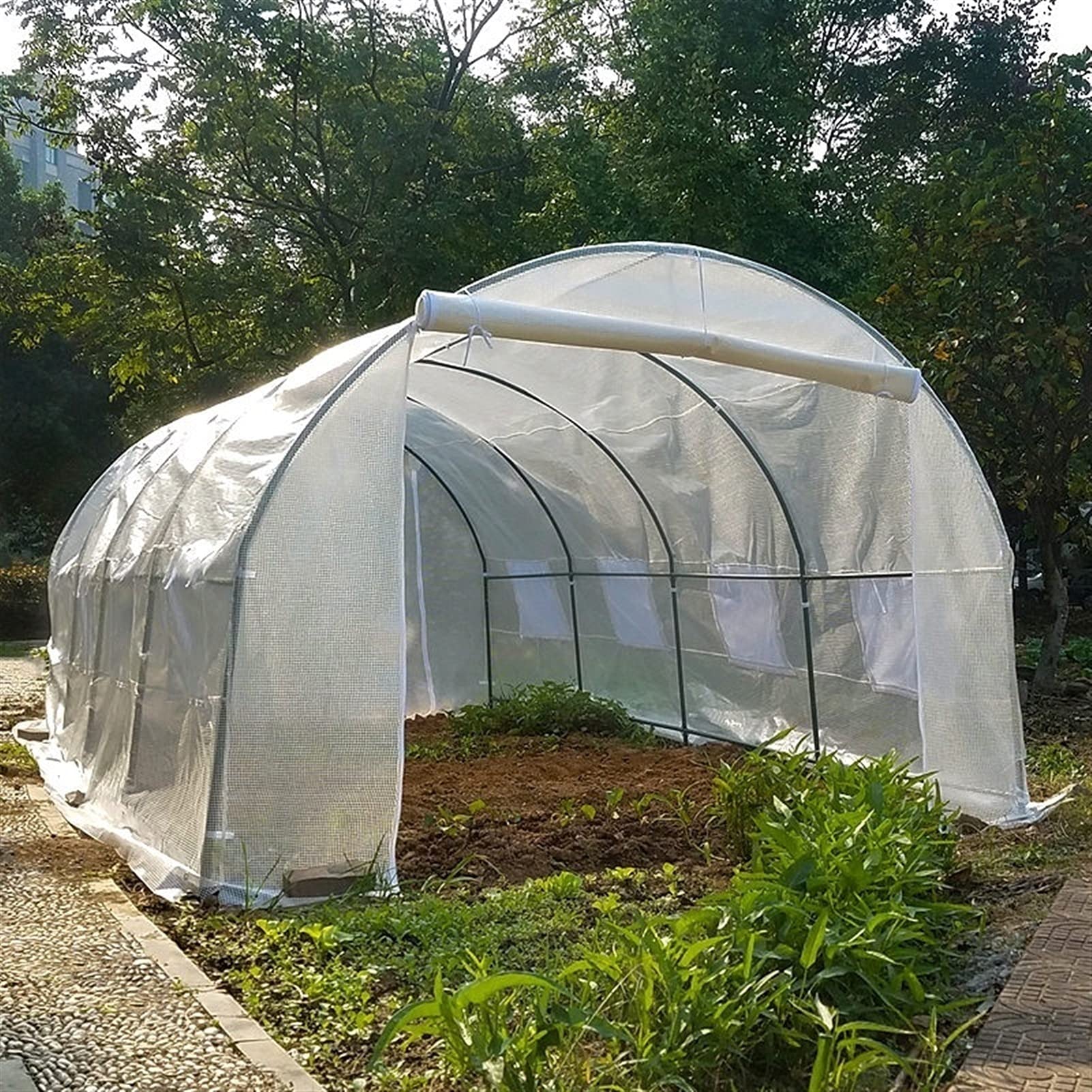 Serra da Balcone Giardino Fuori da casa verde con struttura in metallo resistente, Grande Passeggiata nel Polytunnel della serra 2m / 3m / 4m / 5m / 6m di lunghezza, Giardino della pianta del pomodoro