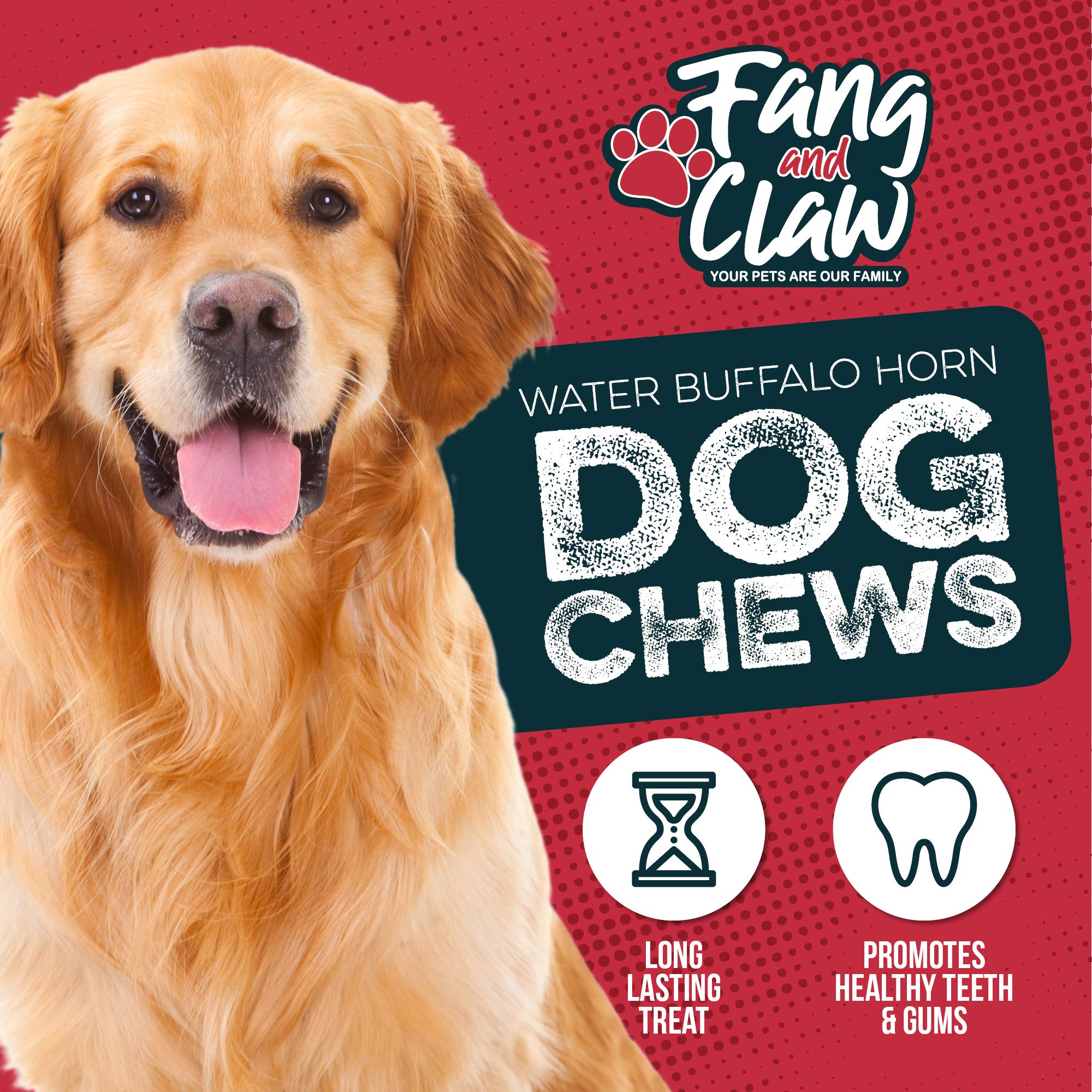 Fang & Claw - Cuernos de búfalo para perros (4 unidades, diferentes tamaños), alimentados con hierba de una sola fuente de proteína, sin productos químicos, aditivos, hormonas, larga duración de