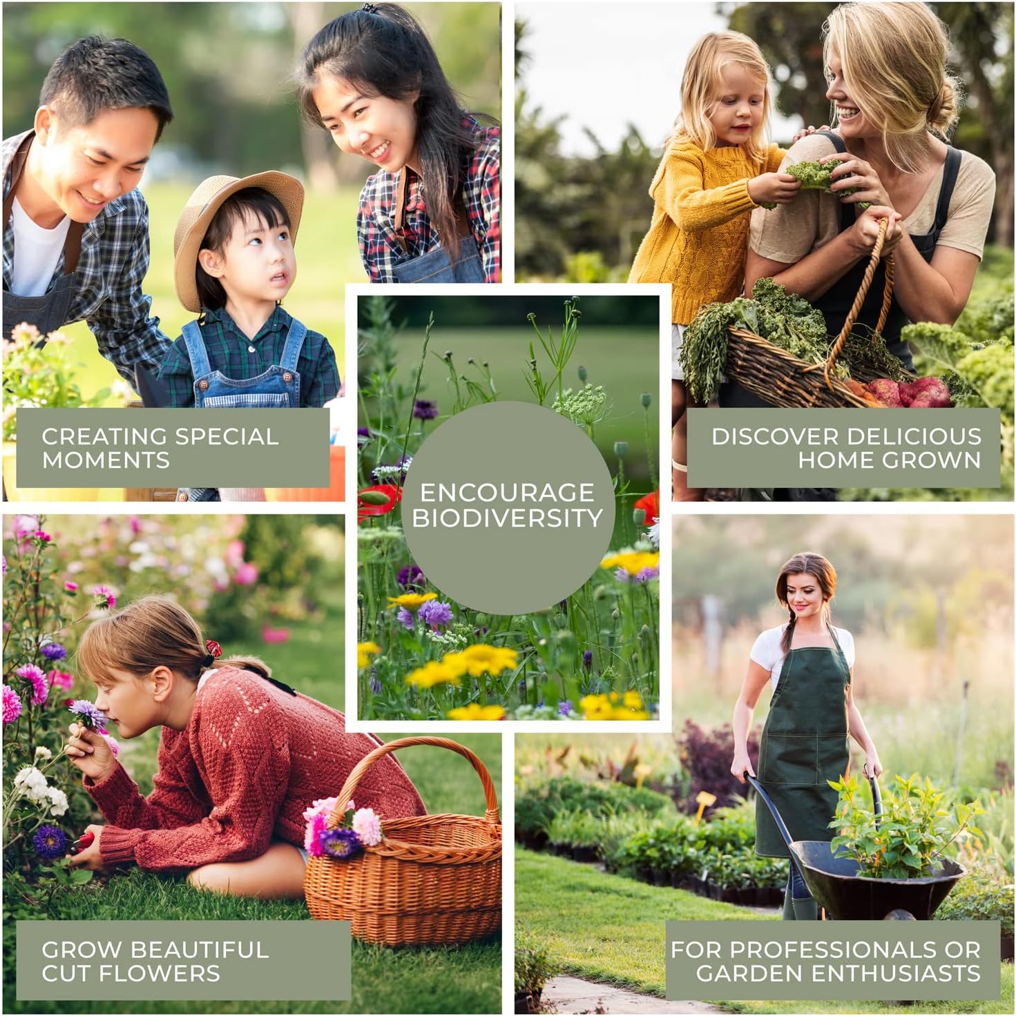 Seed Storage Box – Metal Seed Packet Organizer with Garden String and Bamboo Plant Labels. Seed Container Storage delivering complete Seed Saving Organization for every Garden Lover. - Image 9