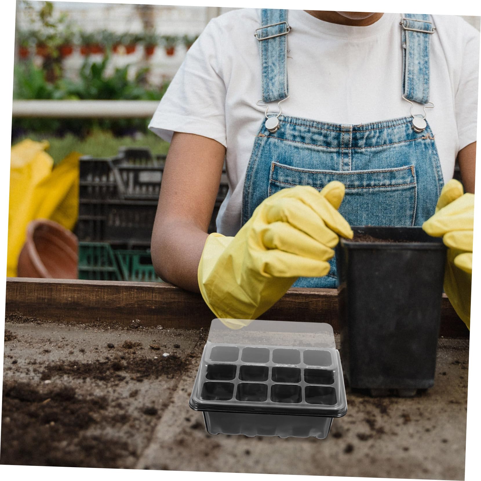 YARNOW 4 Juegos Caja De Plántulas Planta Semillas Kits De Cultivo De Micro Verduras Bandejas De Cultivo De Invernadero Bandeja De Siembra Bandeja De Maceta Bandeja De Germinación Inicio
