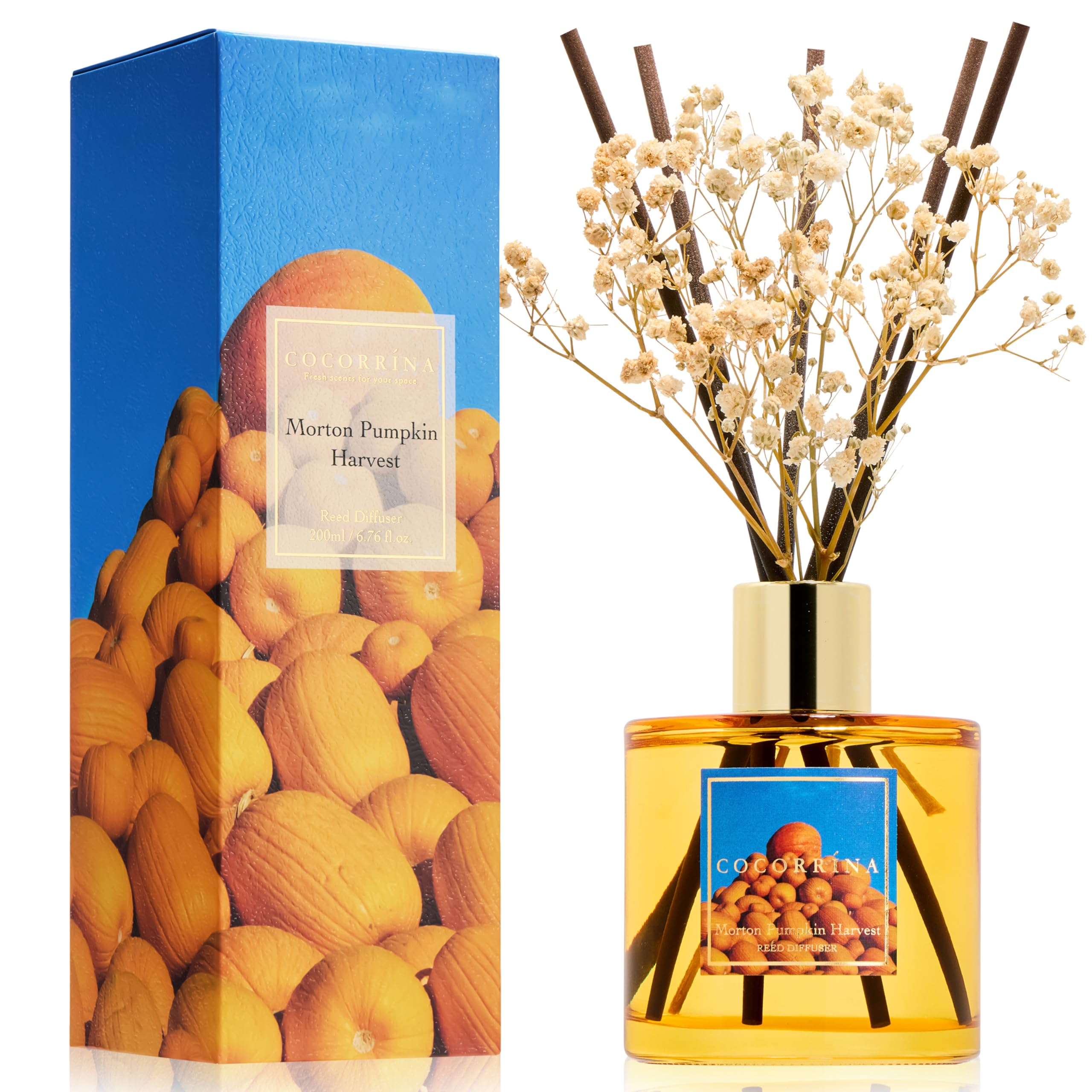 COCORRÍNA Reed Diffuser - Morton Pumpkin Harvest Reed Diffuser Set with 8 Sticks &amp; Preserved Baby's Breath, Reed Diffuser for Home Bathroom Shelf Decor