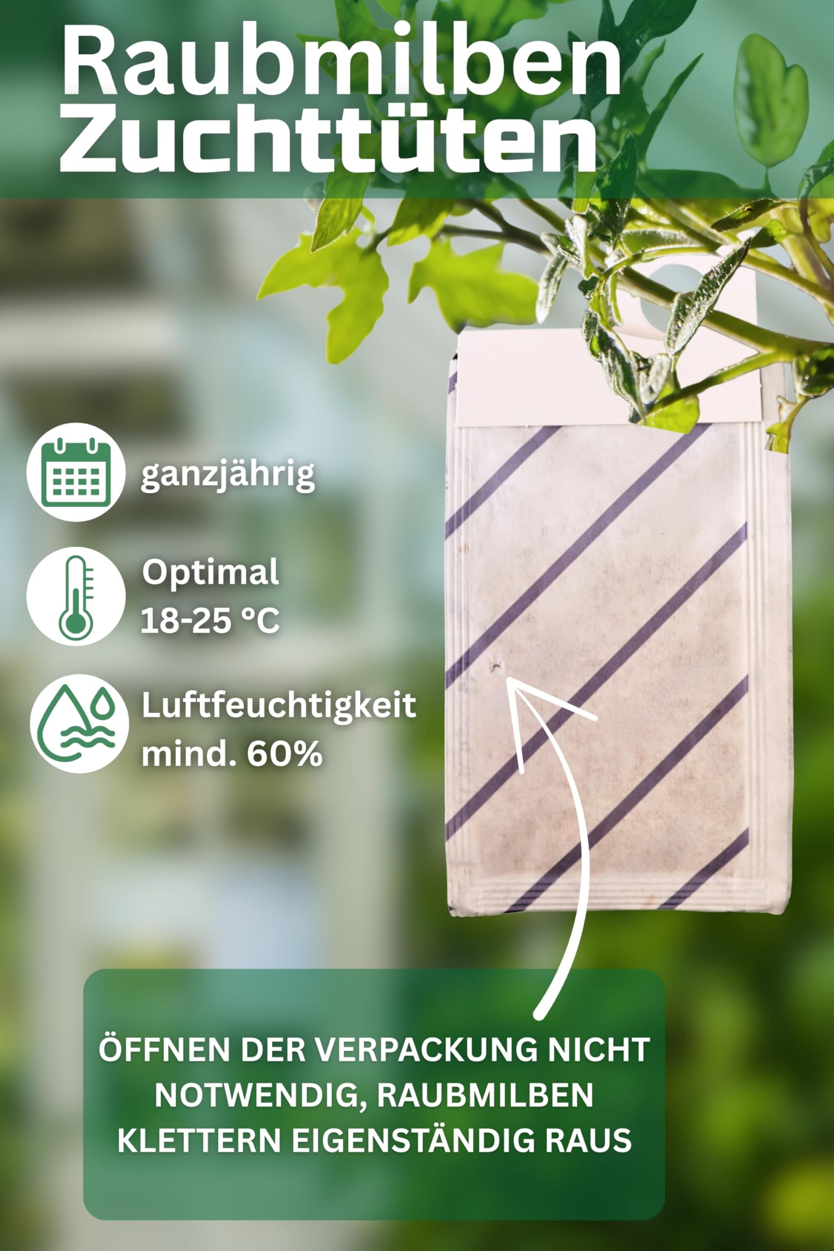 Raubmilben gegen Thrips, Spinnmilben, Weiße Fliege und weitere Schädlinge (16, Mix gegen Thrips/Spinnmilbe)