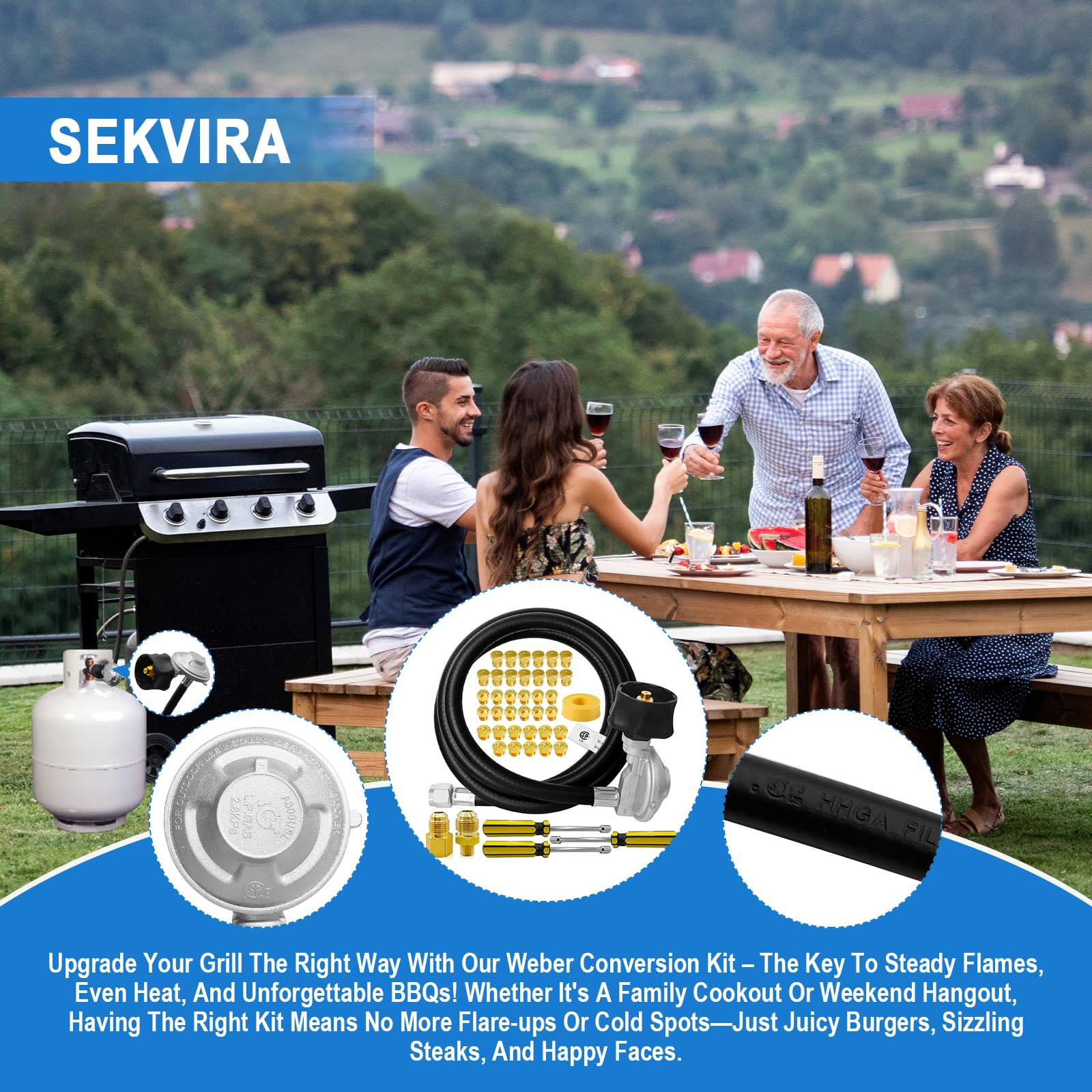 Weber Genesis Ii Conversion Kit Propane To Natural Gas Conversion