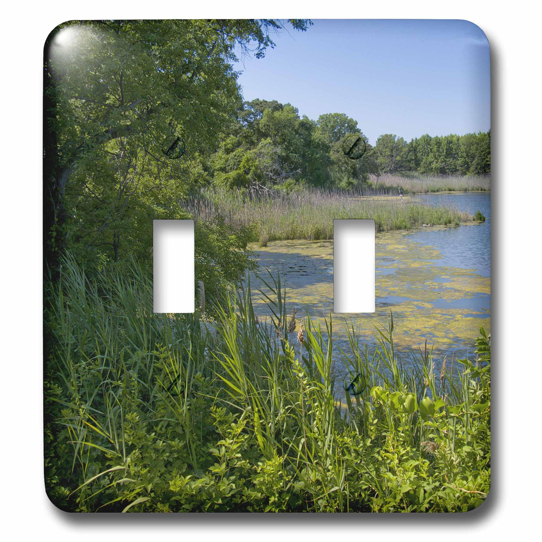 Chesapeake Bay Wetlands interrupteur aux nuances multicolores