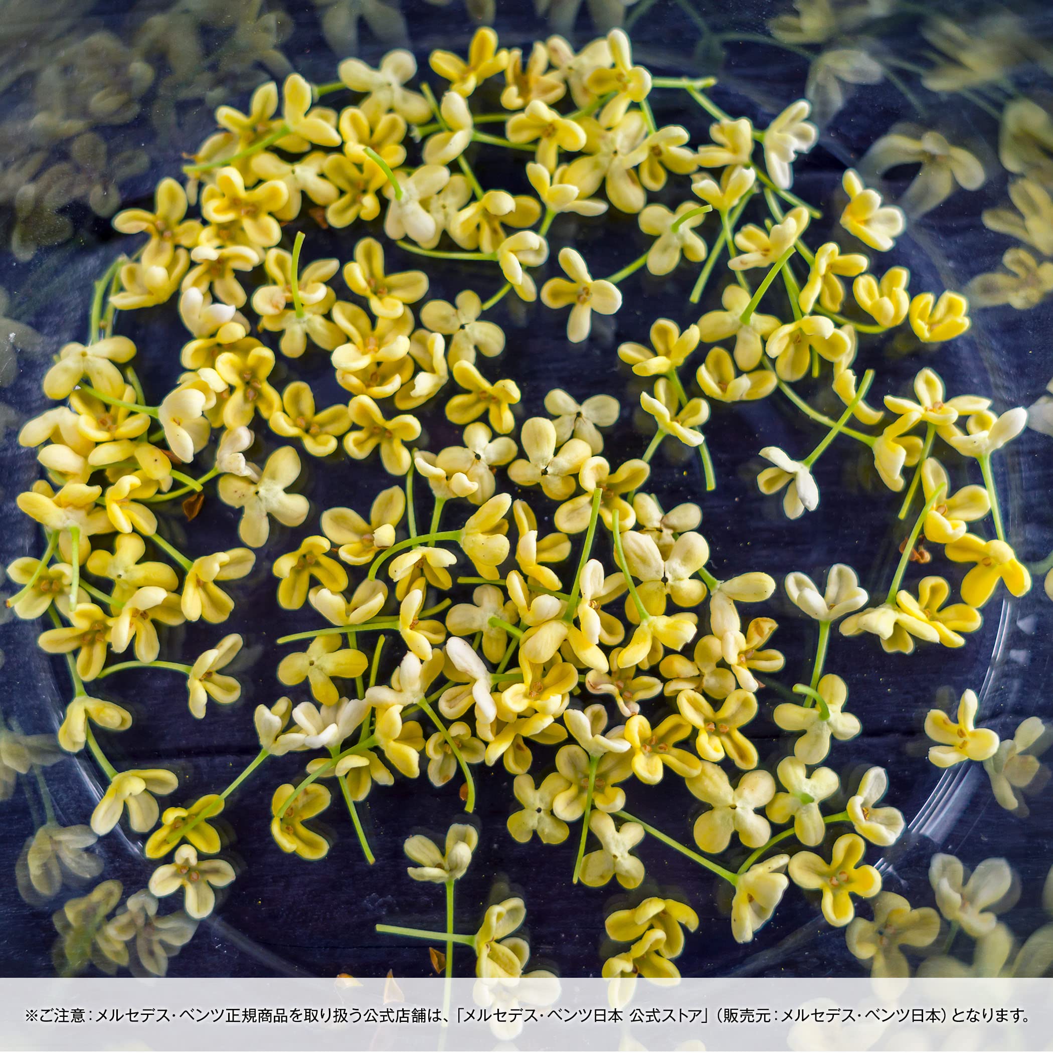 Amazon.co.jp: 【メルセデス・ベンツ アクセサリー】純正 パフューム