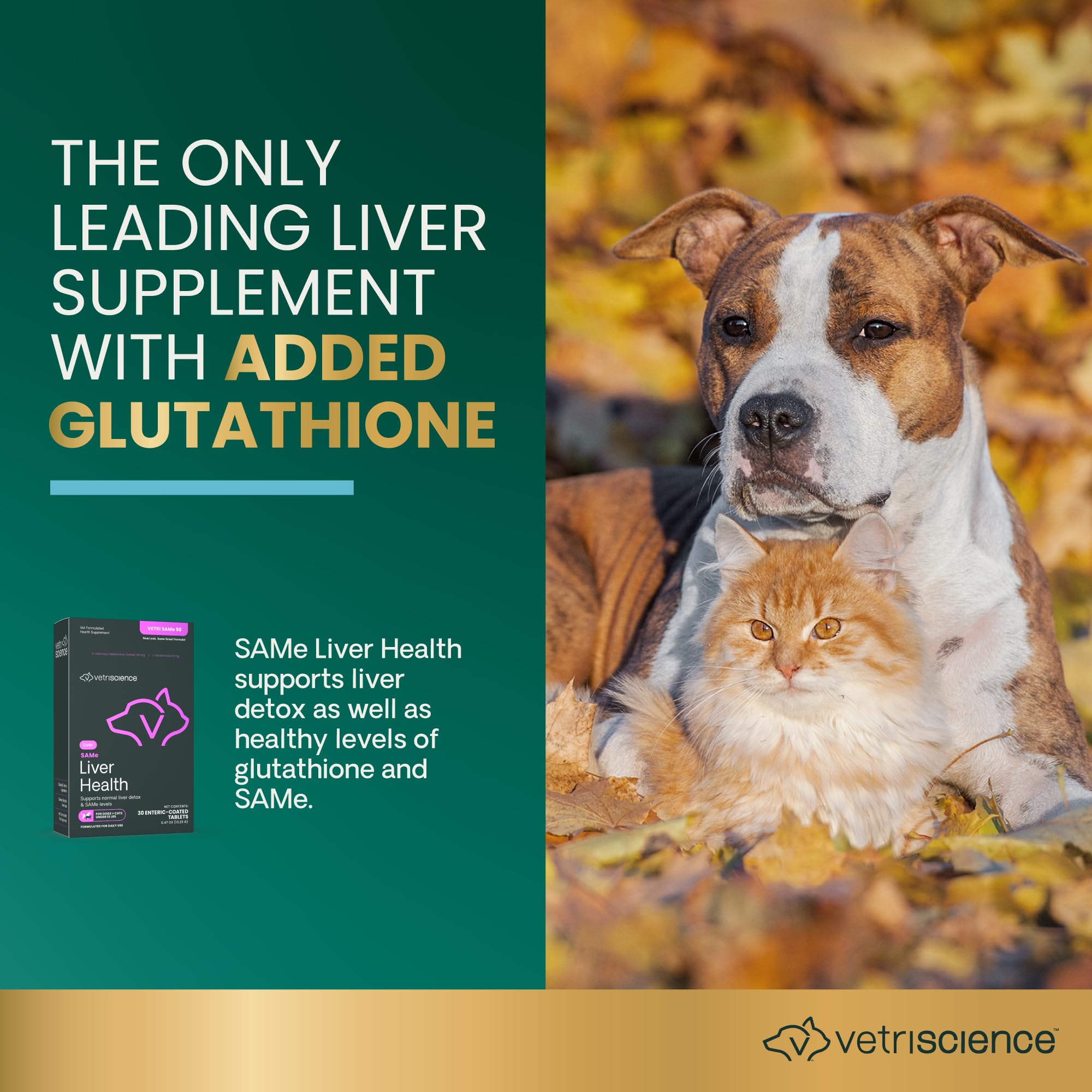 how much glutathione to give a dog Amazon.com : VetriScience Same Liver Health Tablets for Cats & Small Dogs –  90 mg S-Adenosyl Methionine Liver Support Supplement, Methionine Health and  Detox Supplement, Glutathione Antioxidant, Tablets, 30 Cnt : Pet