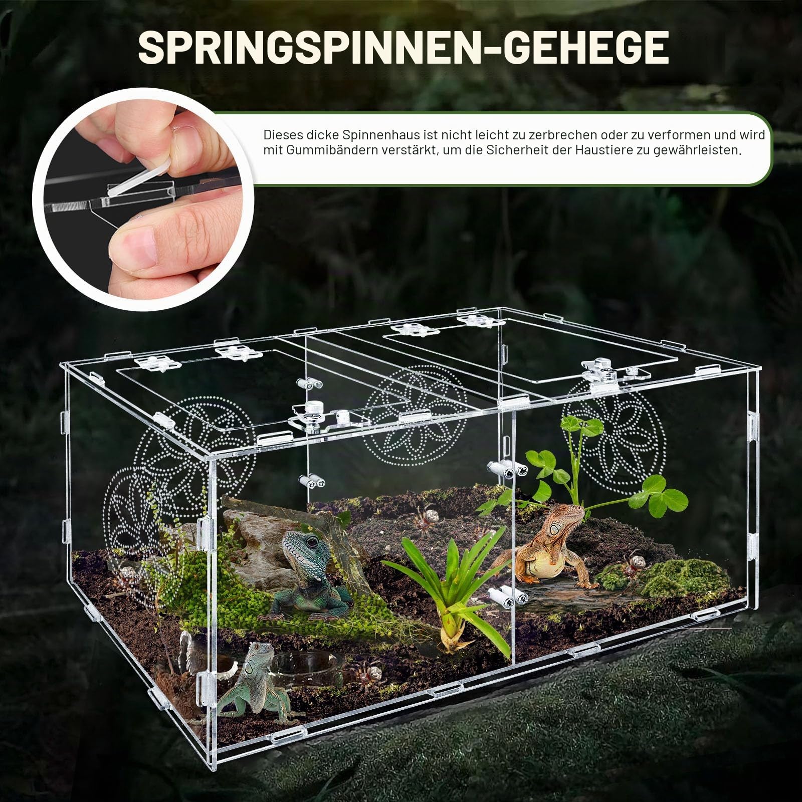Reptilien-Terrarium, 15.75*7.87*9.84in Acryl-Terrarium mit zwei Kammern für Spinnen, Reptiliengehege für kleine baumbewohnende Reptilien