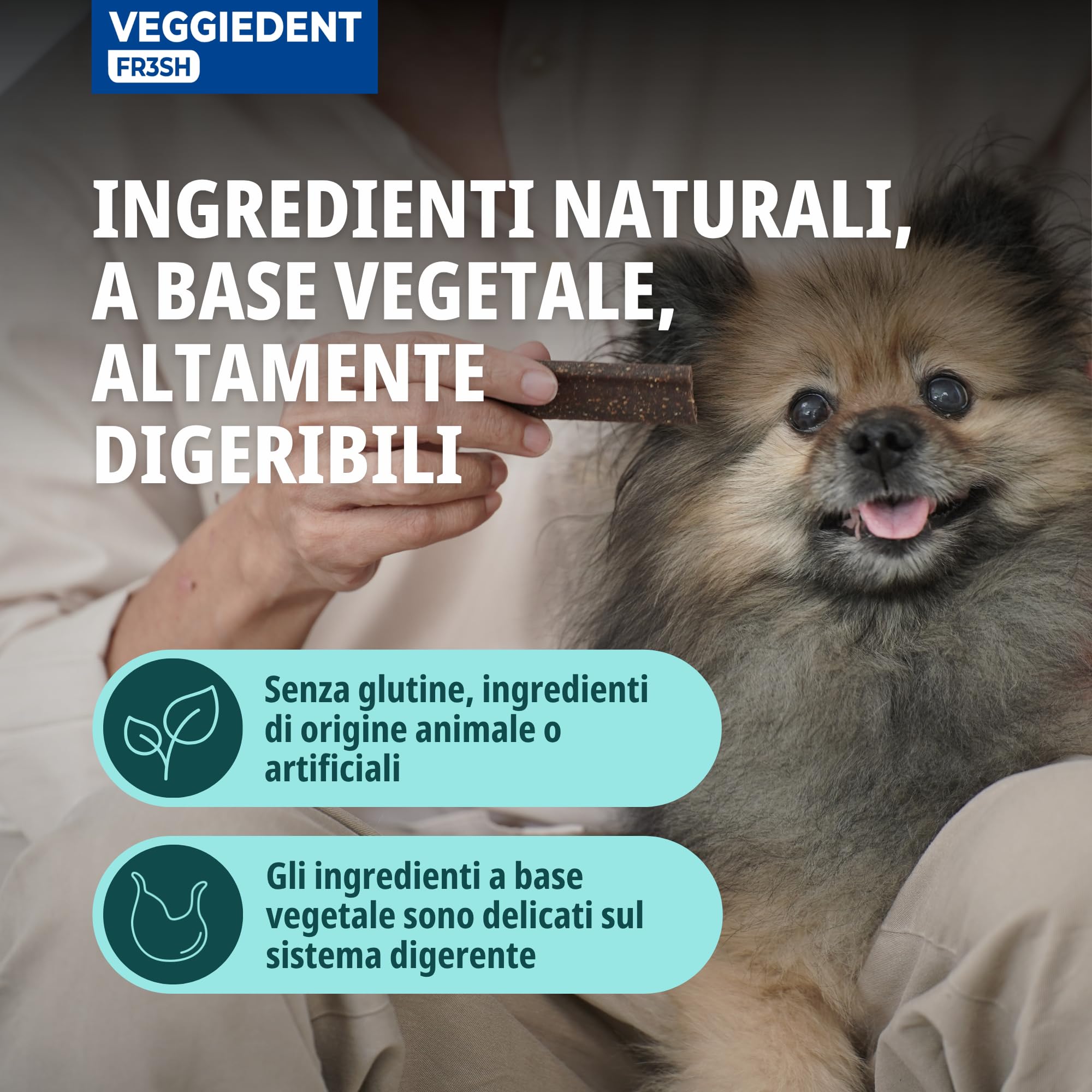 Veggiedent Fr3sh XS 15 Stick