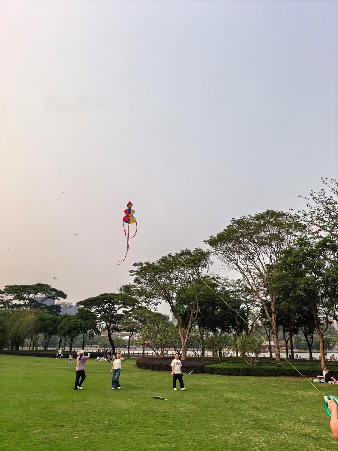 Artistic Violin Kite Colorful Abstract Design, Kitess for Kids Kites for Adults, Easy to Fly Kite Long Tail Outdoor Beach Park Kites, Perfect Photo Prop & Unique Gift Festival Decorations