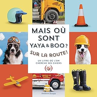 couverture de : Mais où sont Yaya et Boo ? couverture de : Mais où sont Yaya et Boo ?