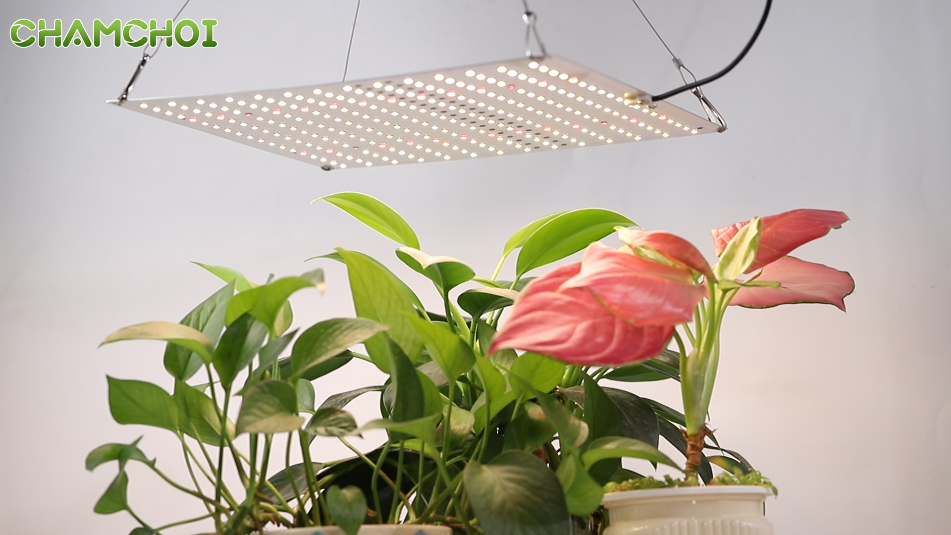 Amazon.co.jp: 植物育成ライト LED パネル 72W【 無線リモコン·遠隔 
