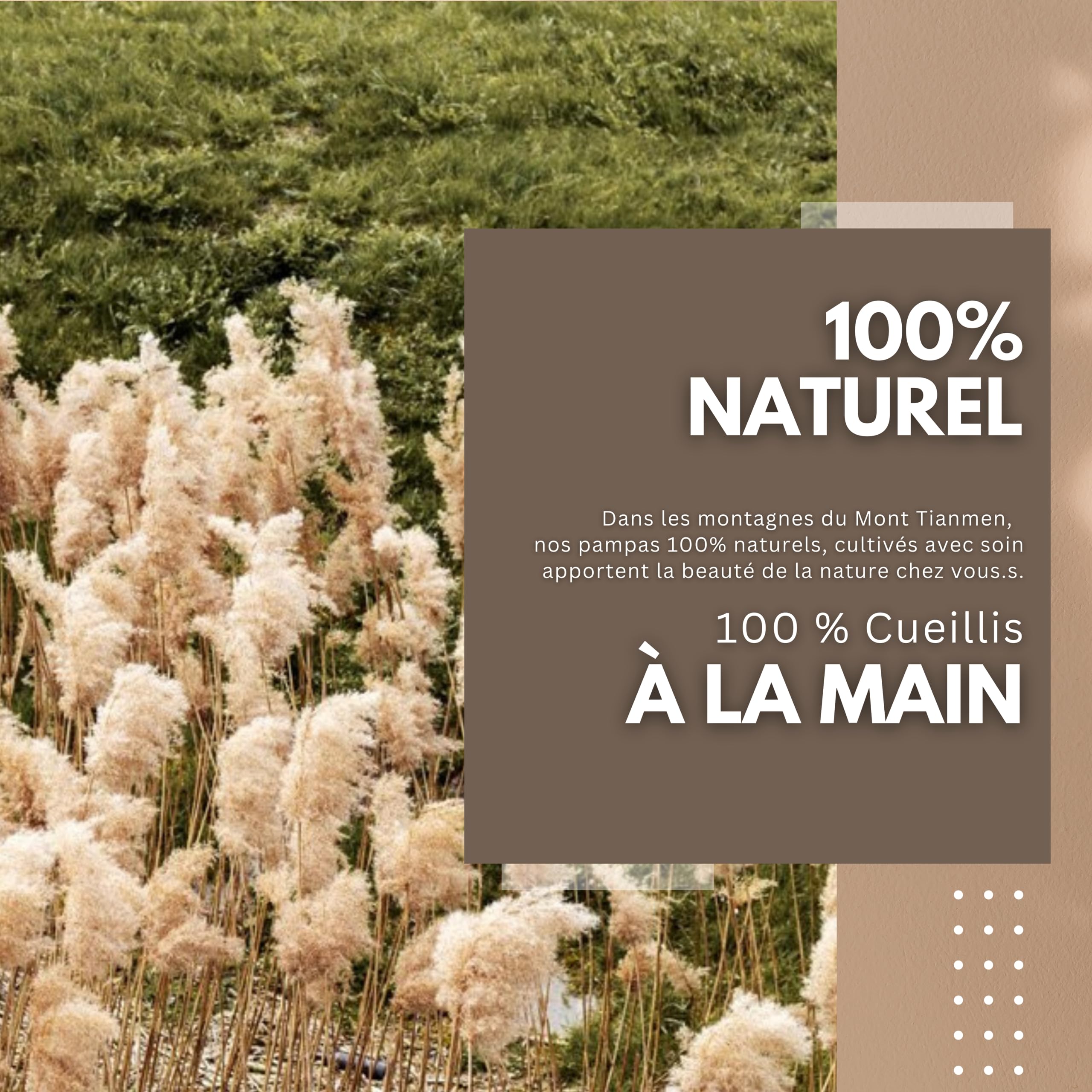Lot de 4 Grand Pampas Séchées Décoration, 100cm d'herbe de la Pampa XXL Bouquet de Fleurs Séchées, Décoration Boho pour Mariage Salon Chambre à Coucher
