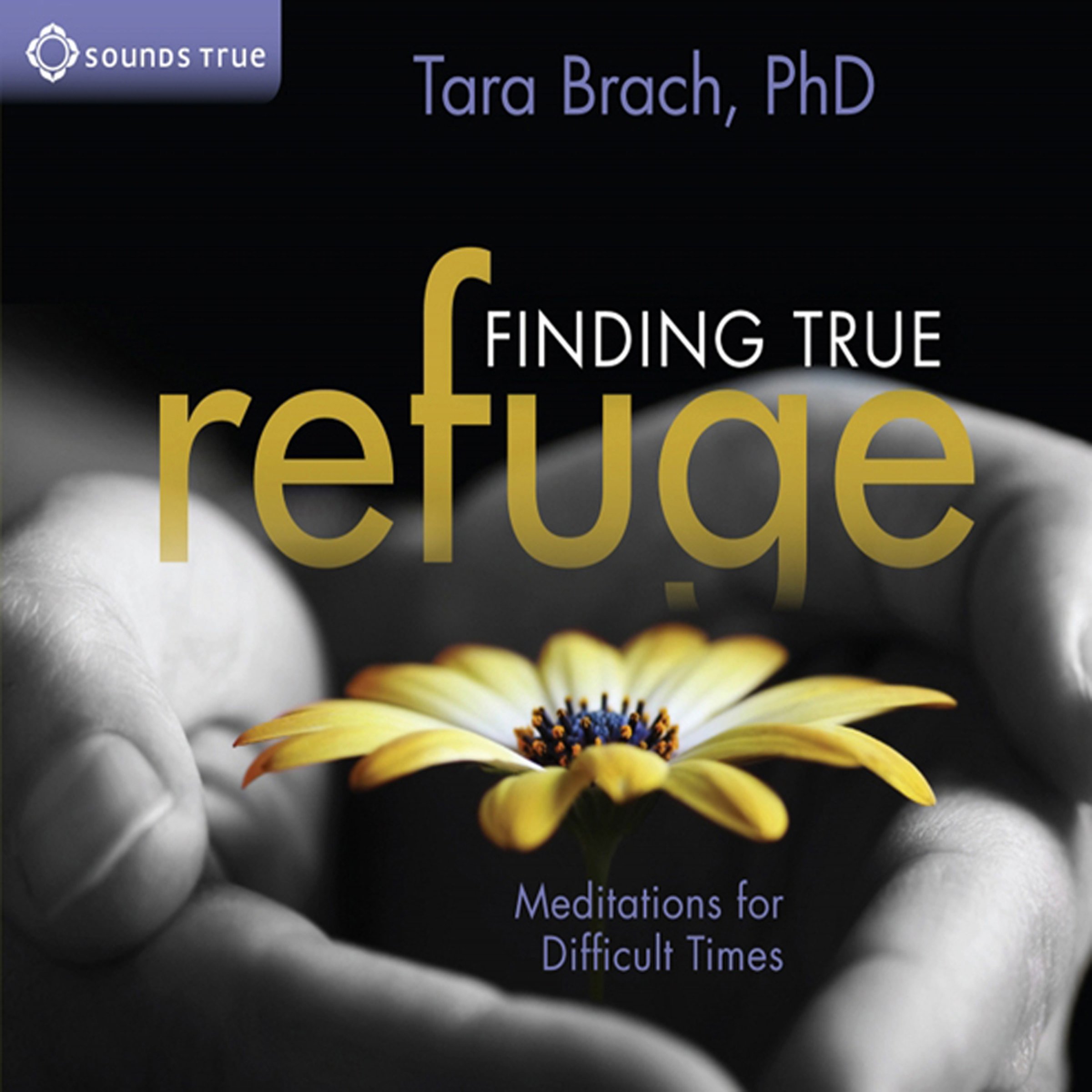 Cover art for Finding True Refuge